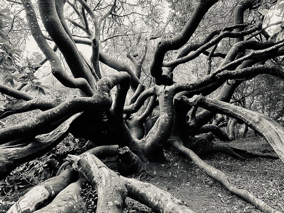 Cape Town, South Africa