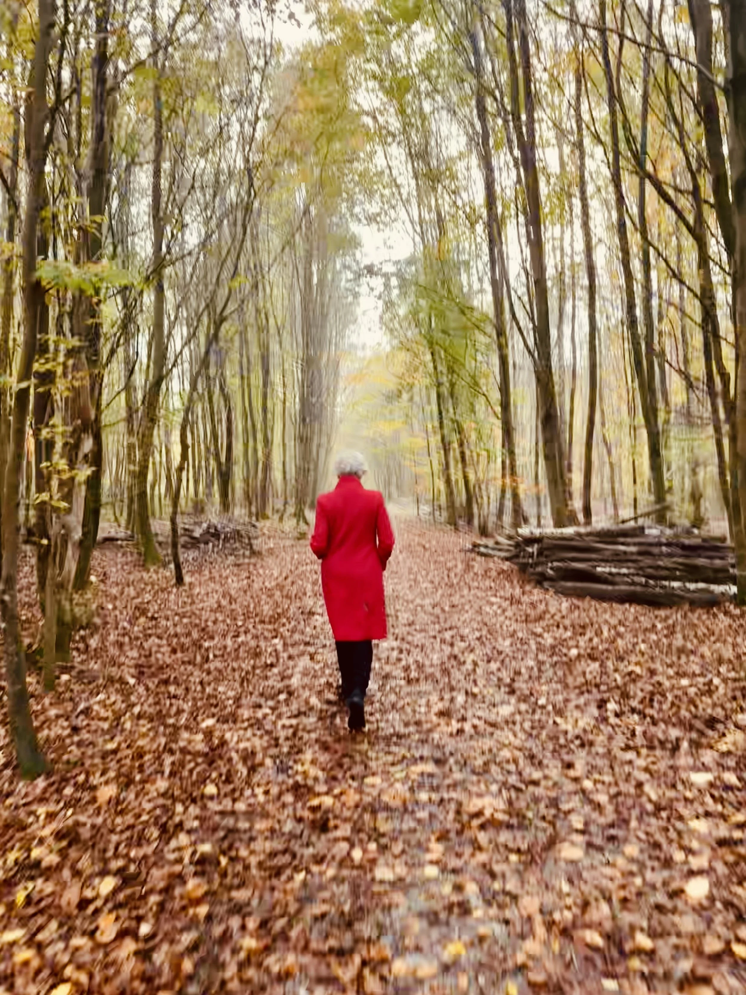 A person wearing a red coat walking on a leaf-covered trail in a forest during fall.