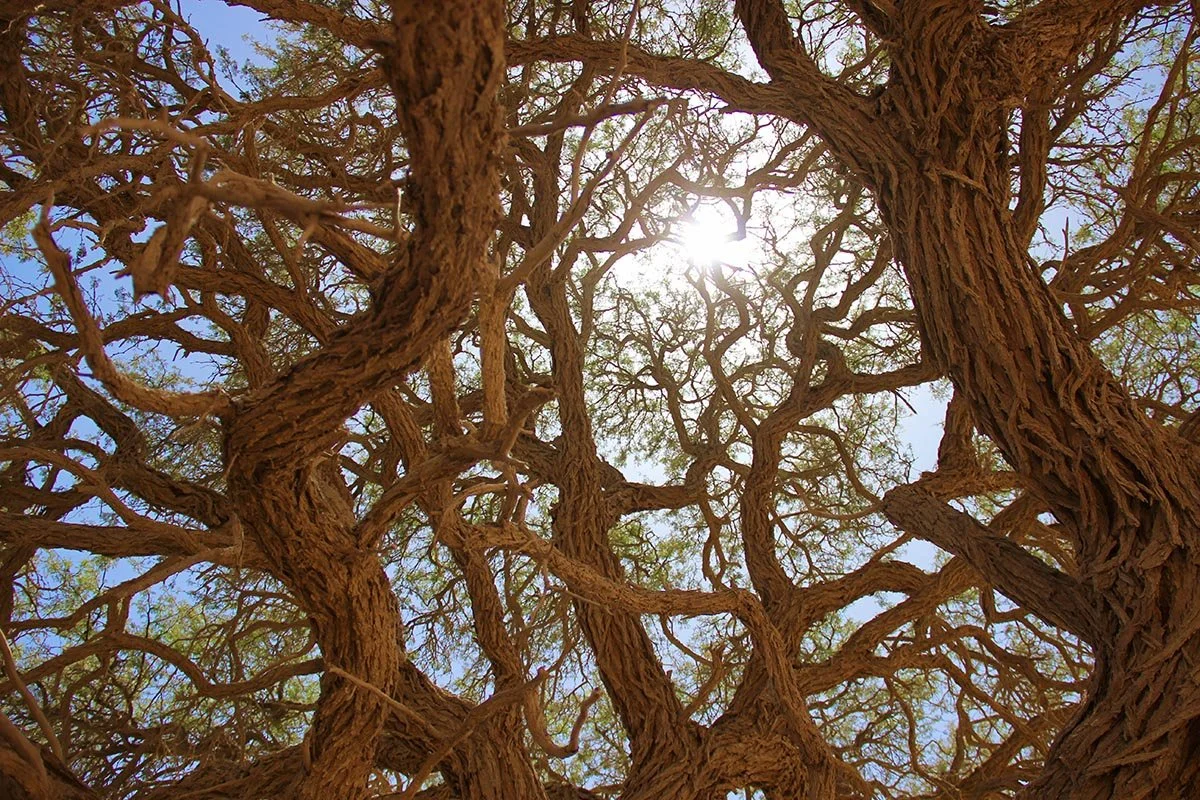 Soussusvelei, Namibia