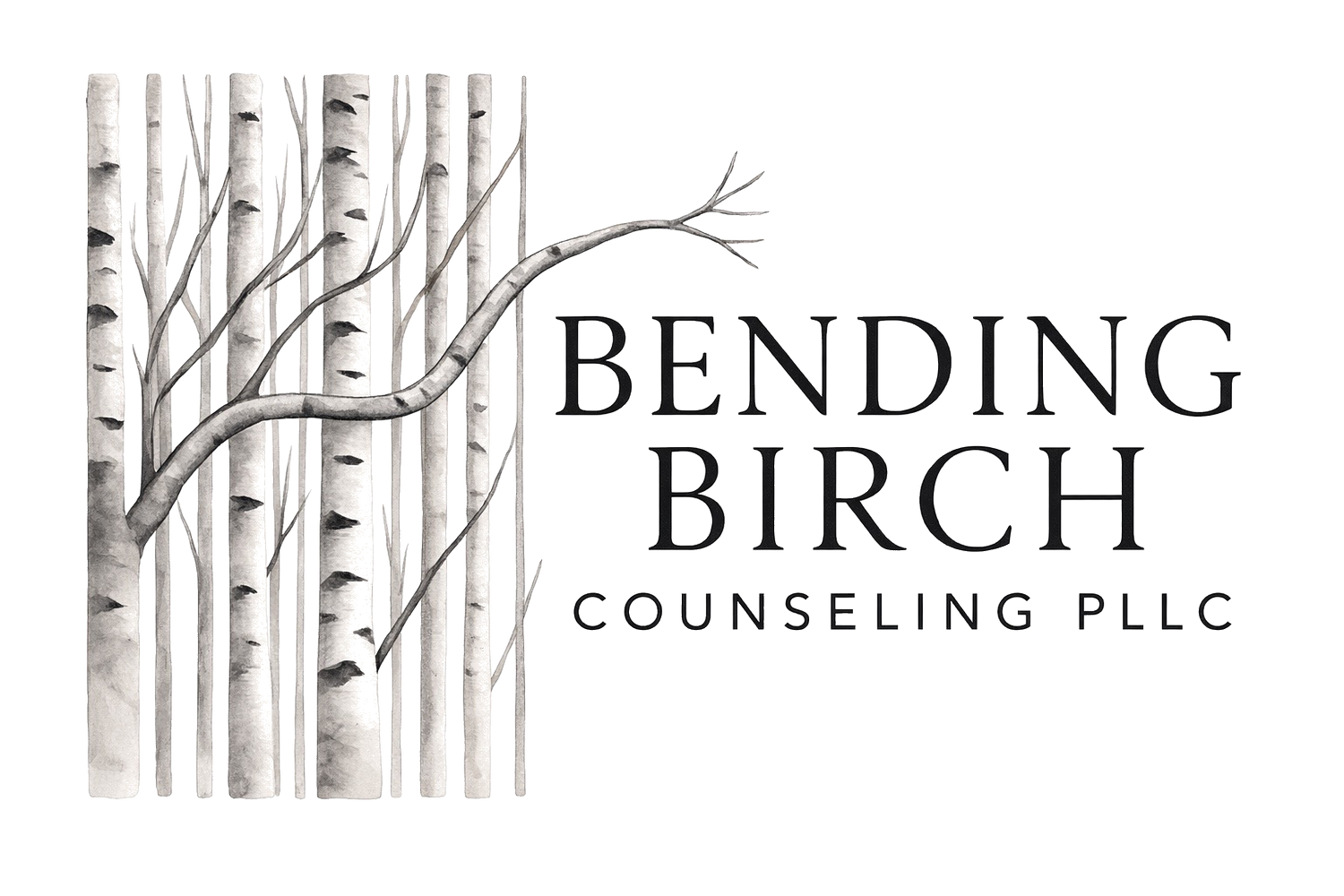 Bending Birch Counseling PLLC
