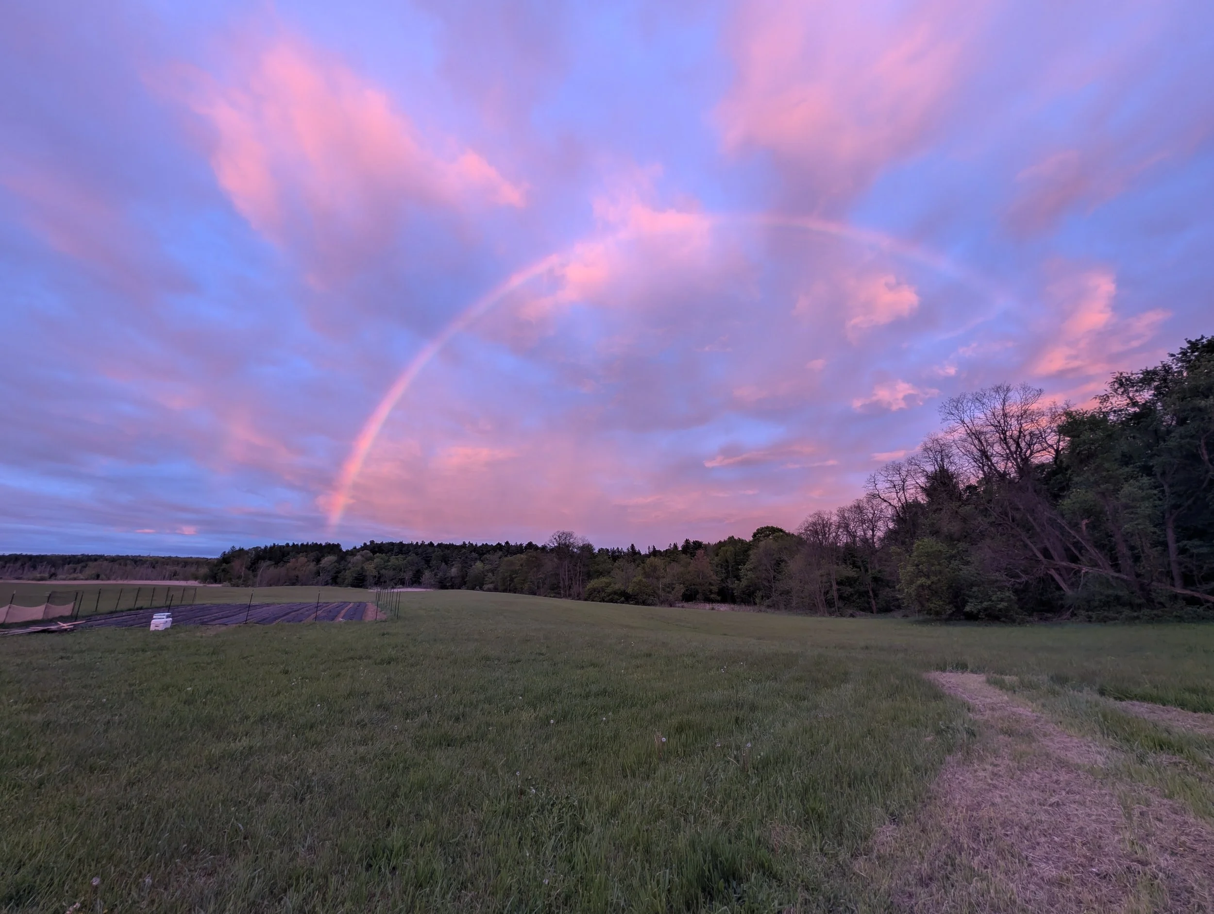 PXL_20260516_000915753.NIGHT.RAW-01.jpg