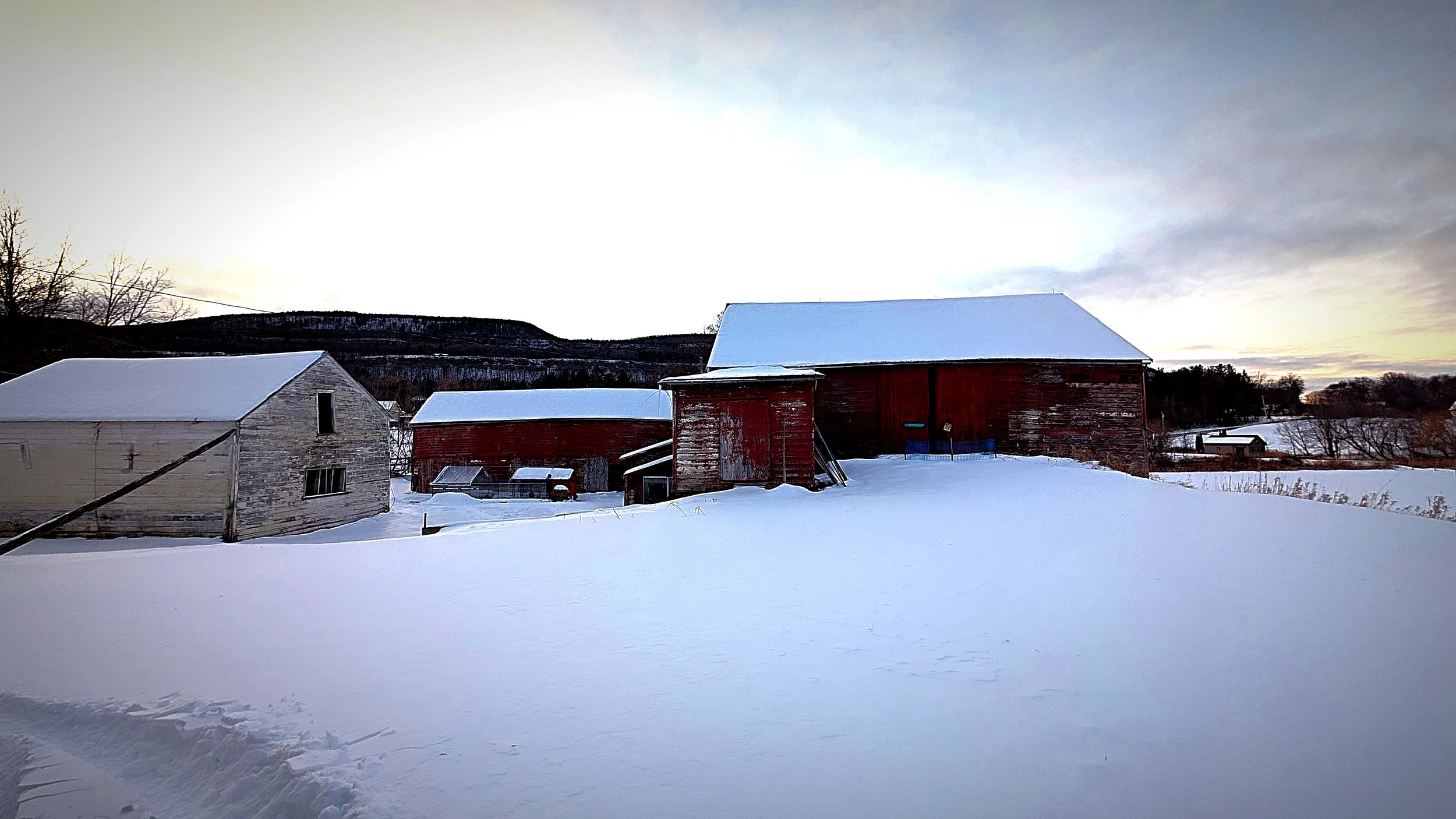 Winter Barns.jpg