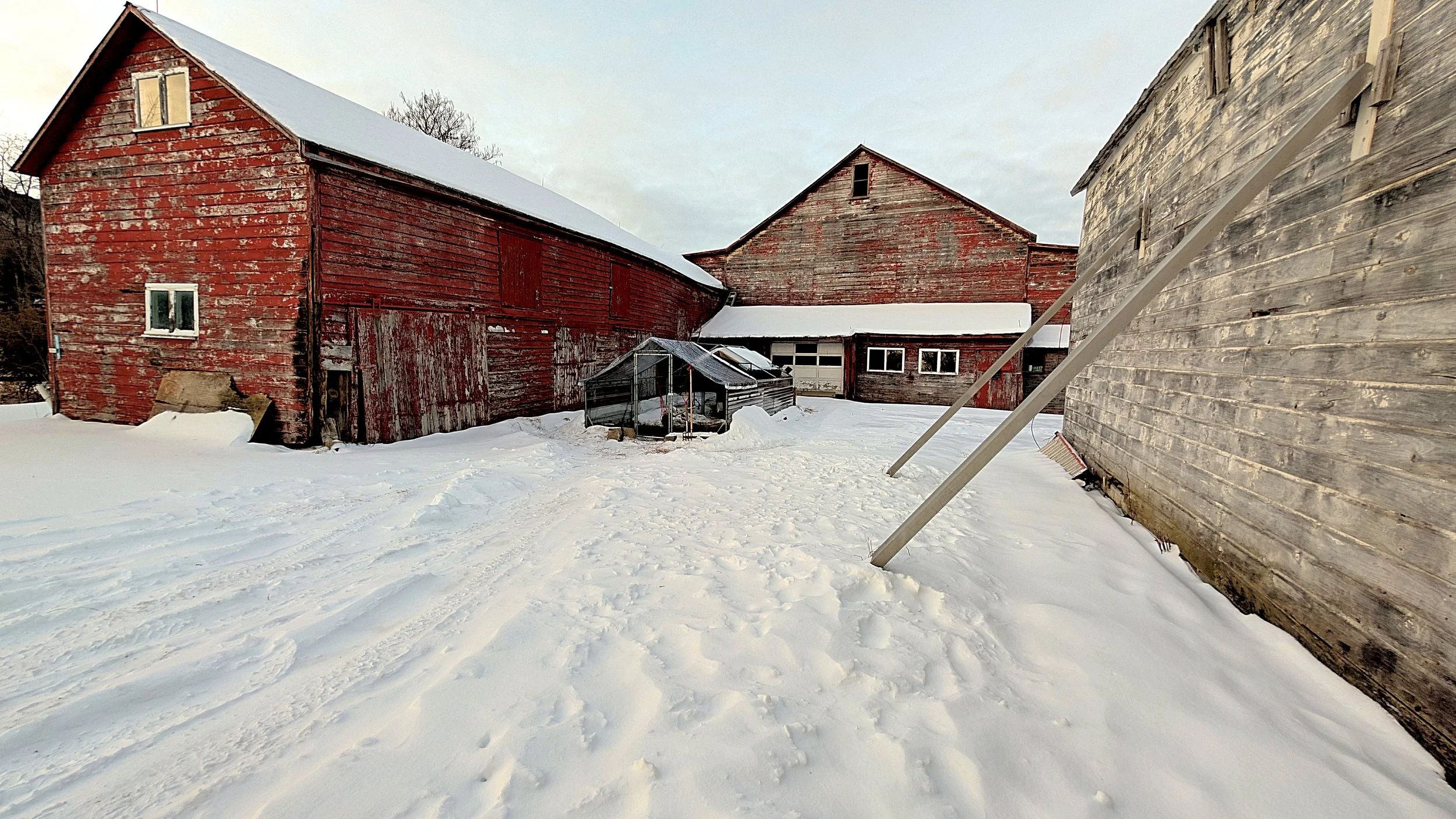 Winter Coop & Barns.jpg
