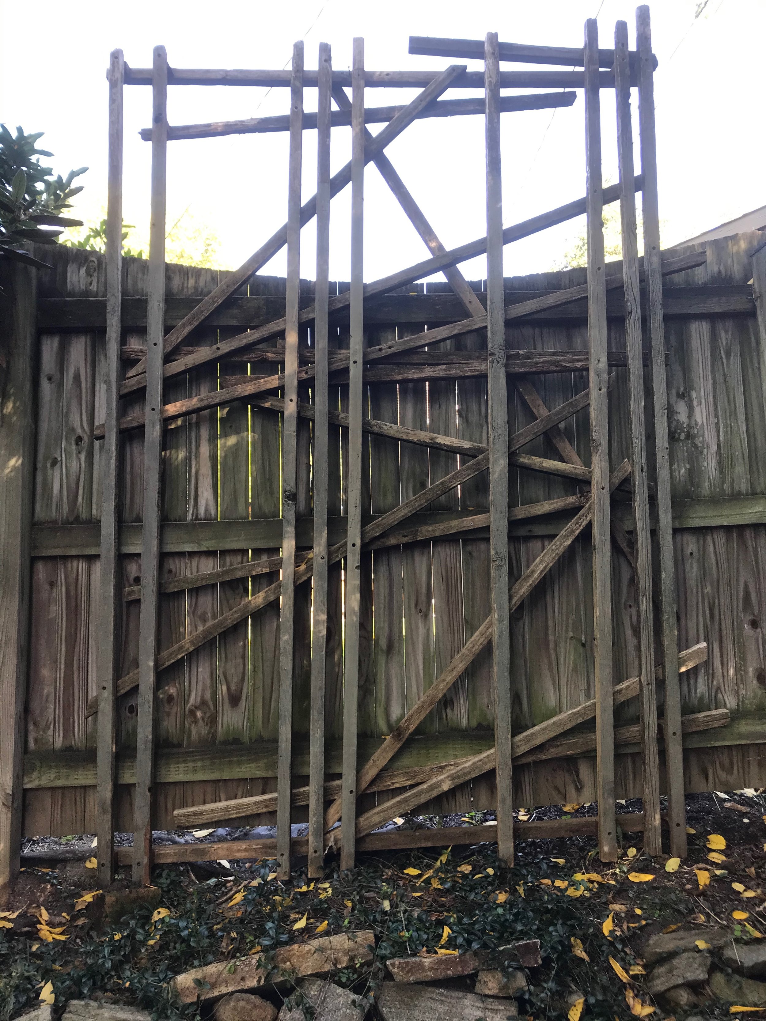 XPERGOLA, cedar, 2020, (108"X72"X6")