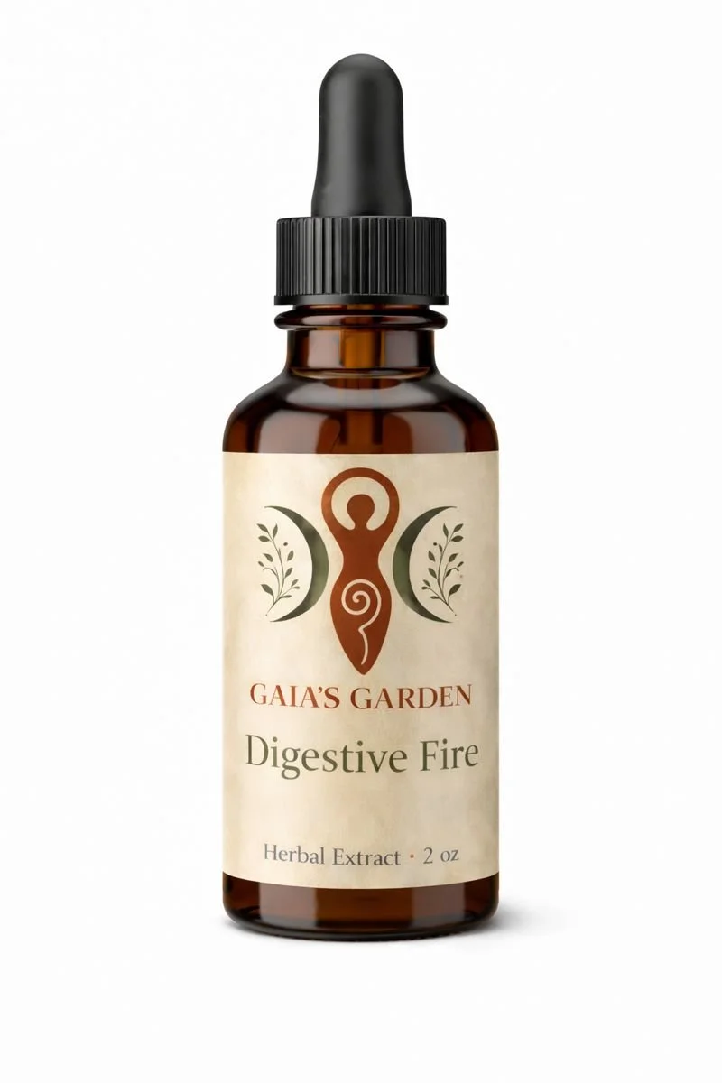 Digestive System - Digestive Fire