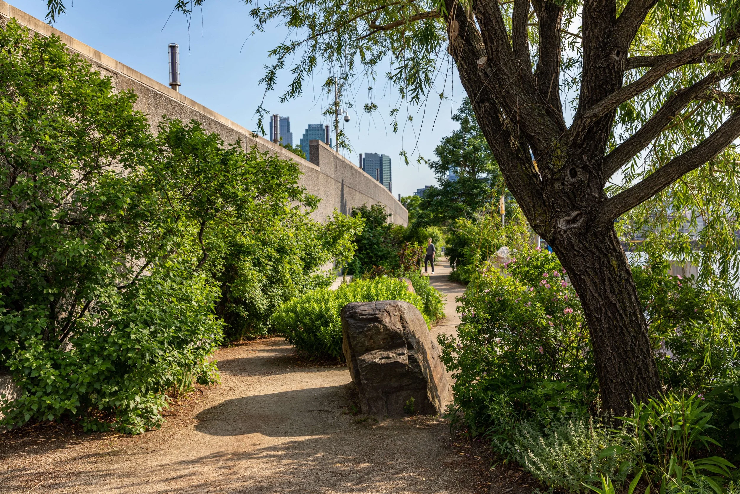 Newtown Creek Nature Walk
