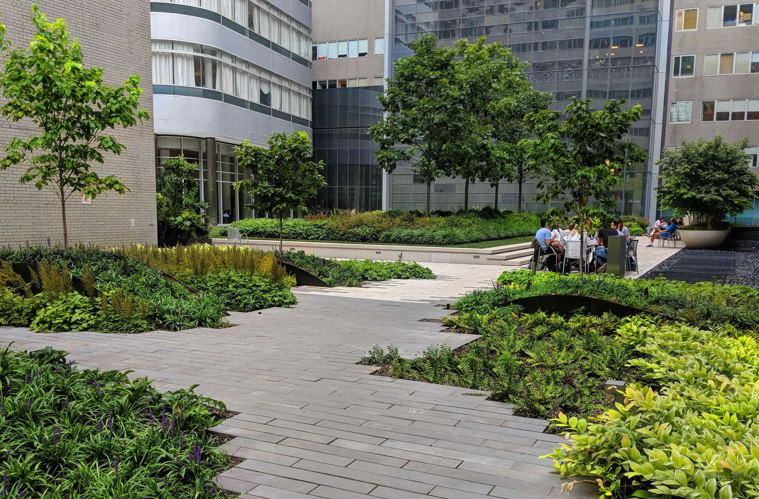 NYU Medical Center Tisch Courtyard