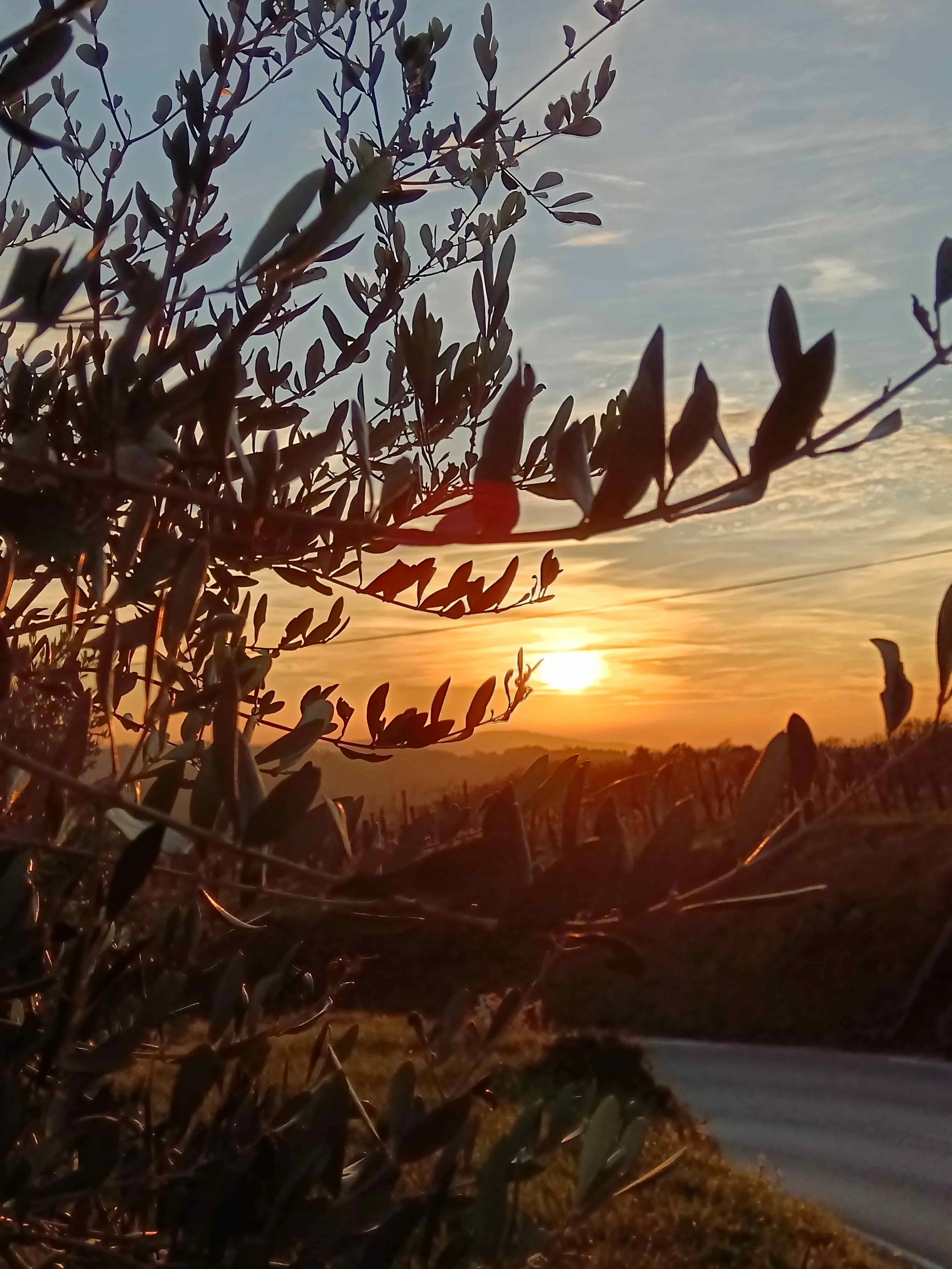 Foto razstava by Irena Habe. :)