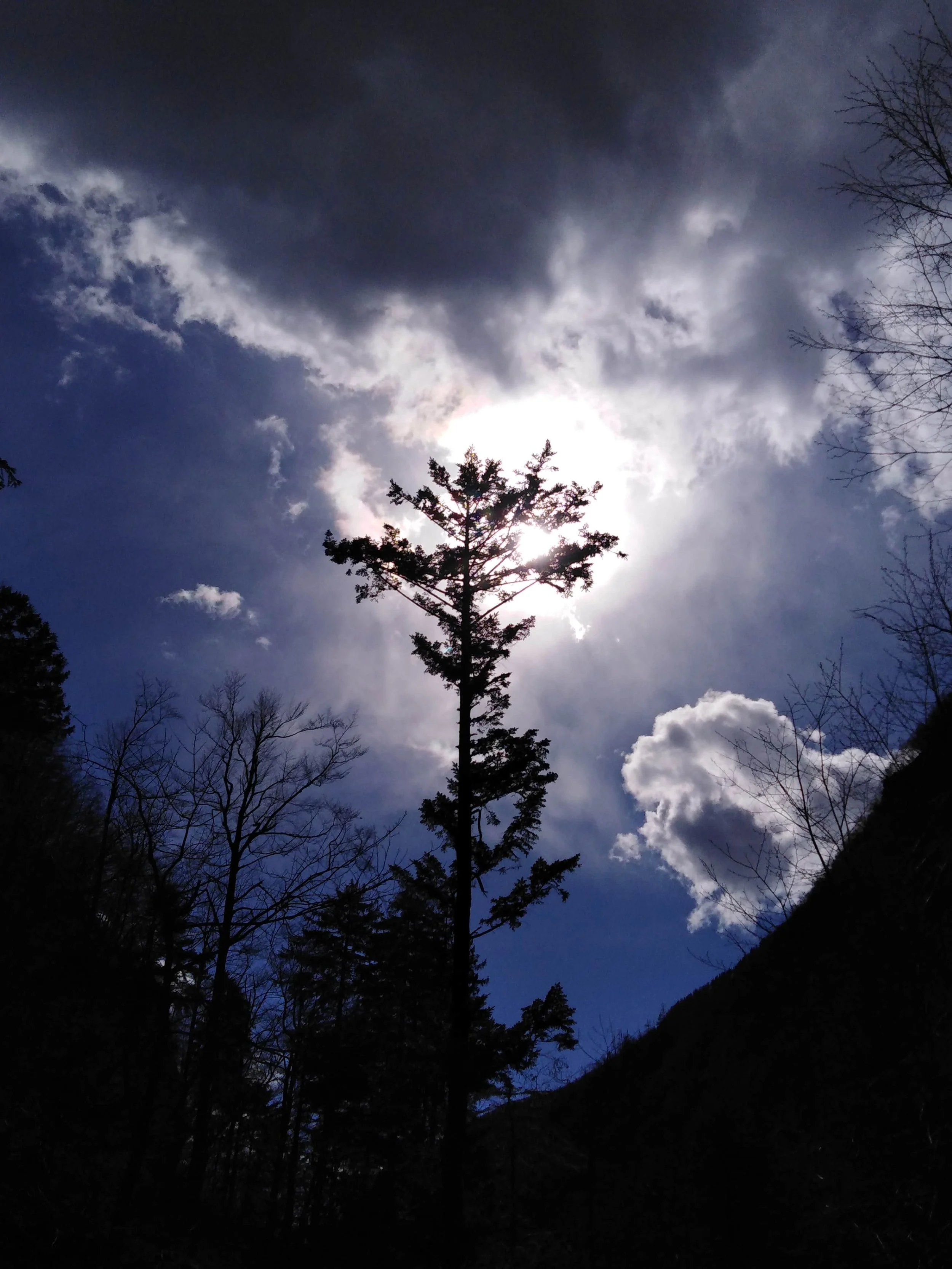 Foto razstava by Irena Habe. :)