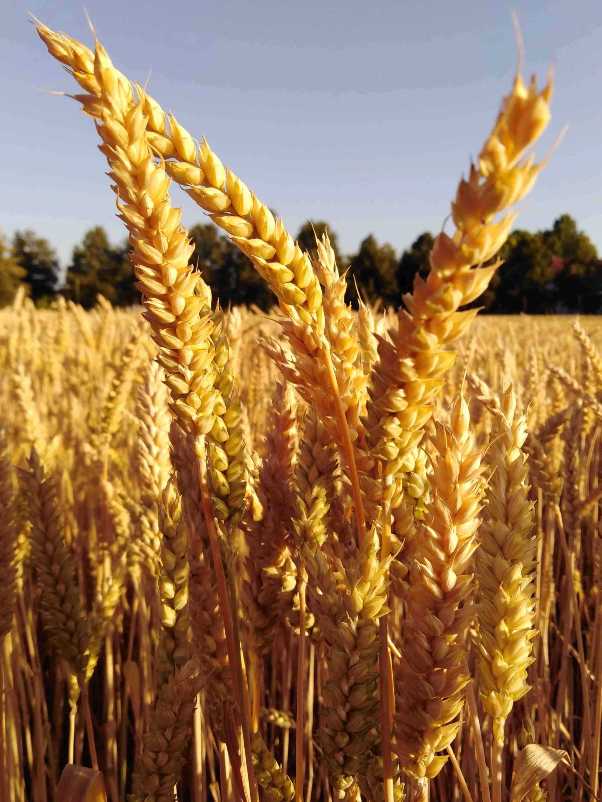 Foto razstava by Irena Habe. :)