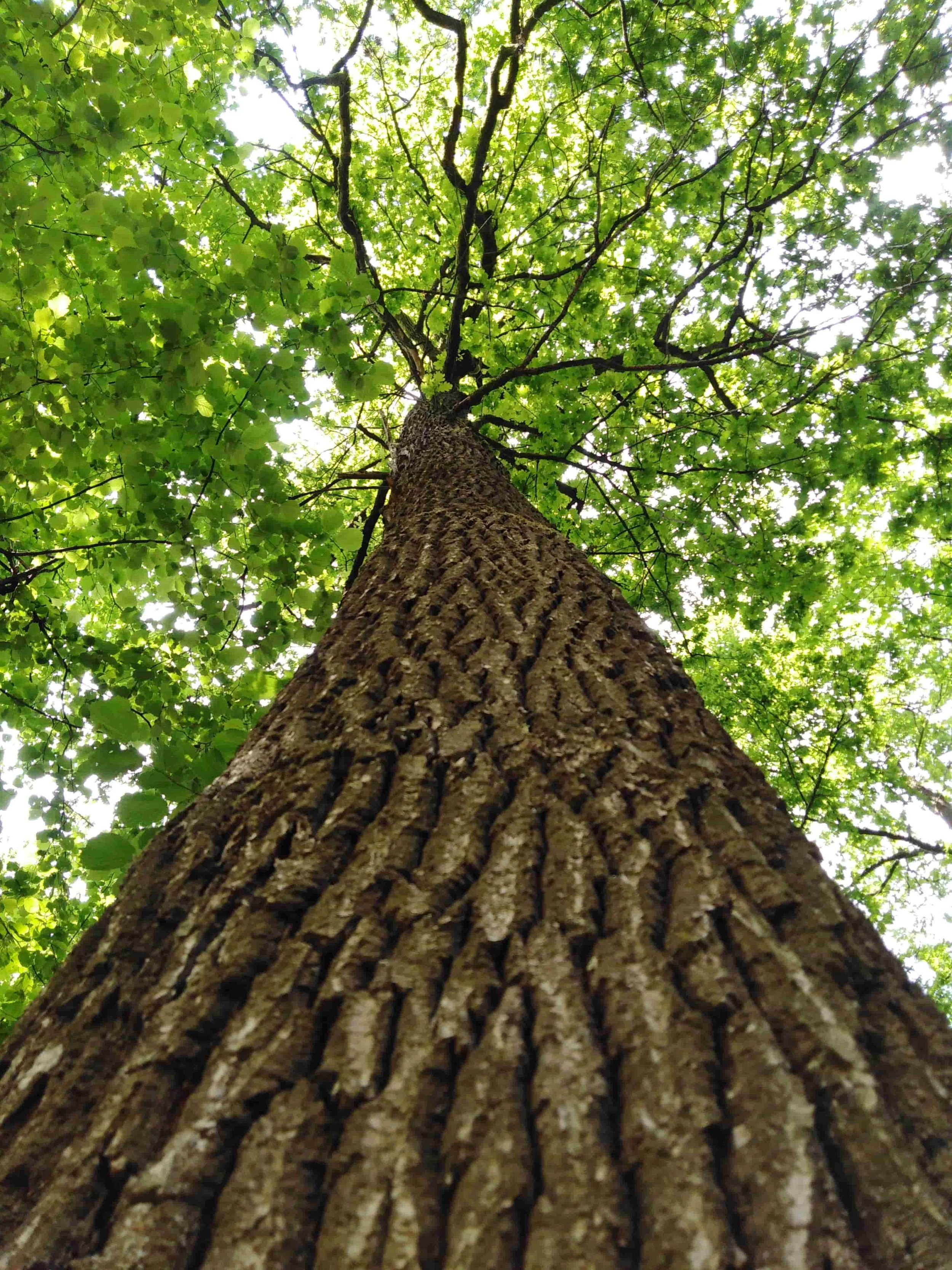 Foto razstava by Irena Habe. :)