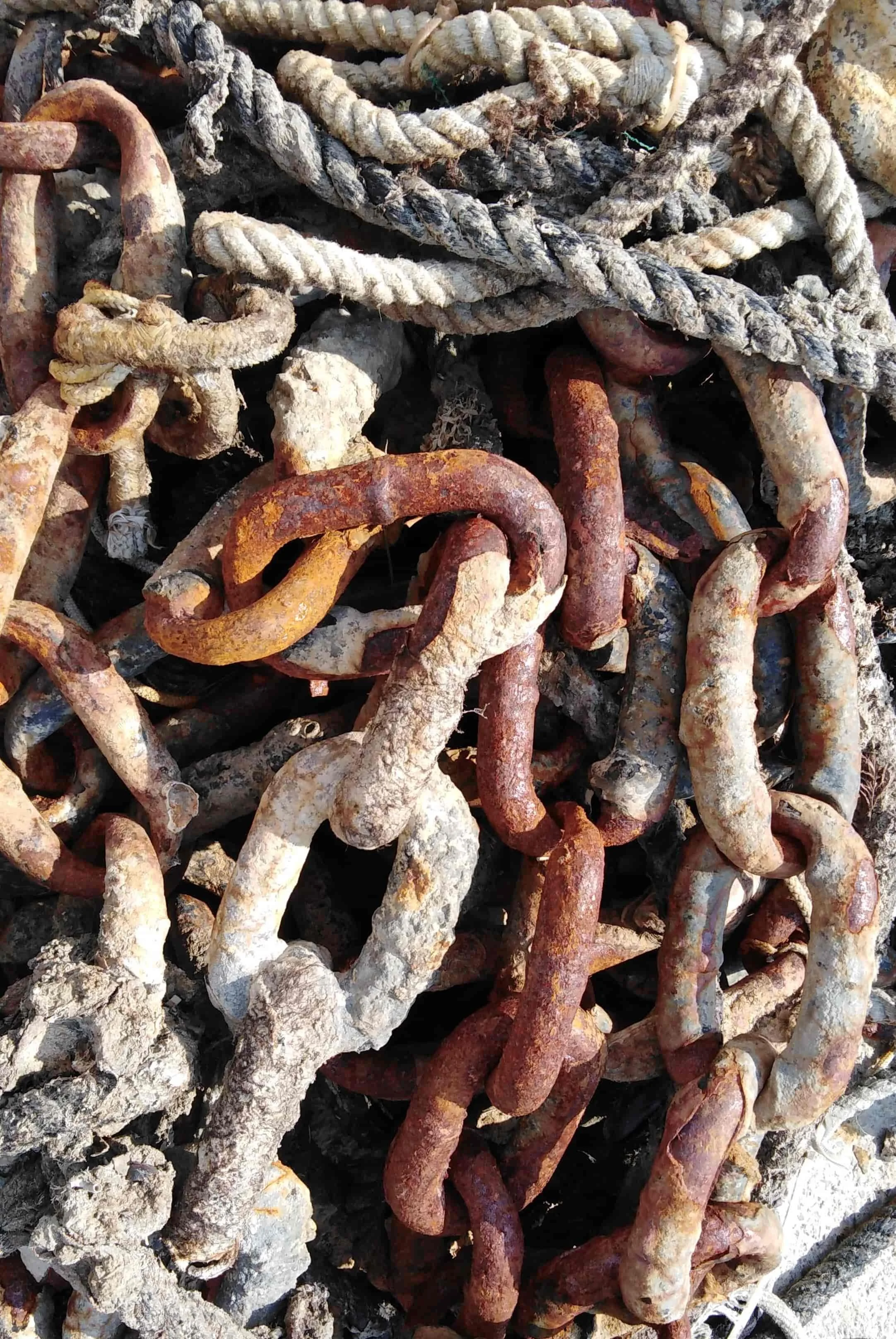 Foto razstava by Irena Habe. :)