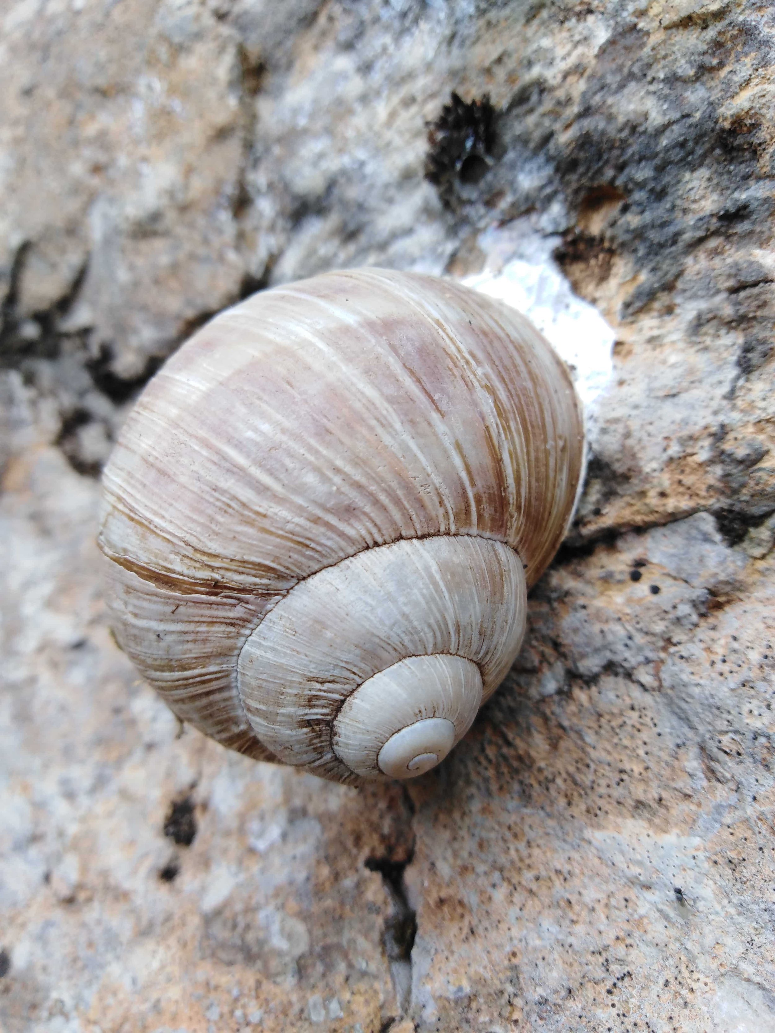 Foto razstava by Irena Habe. :)