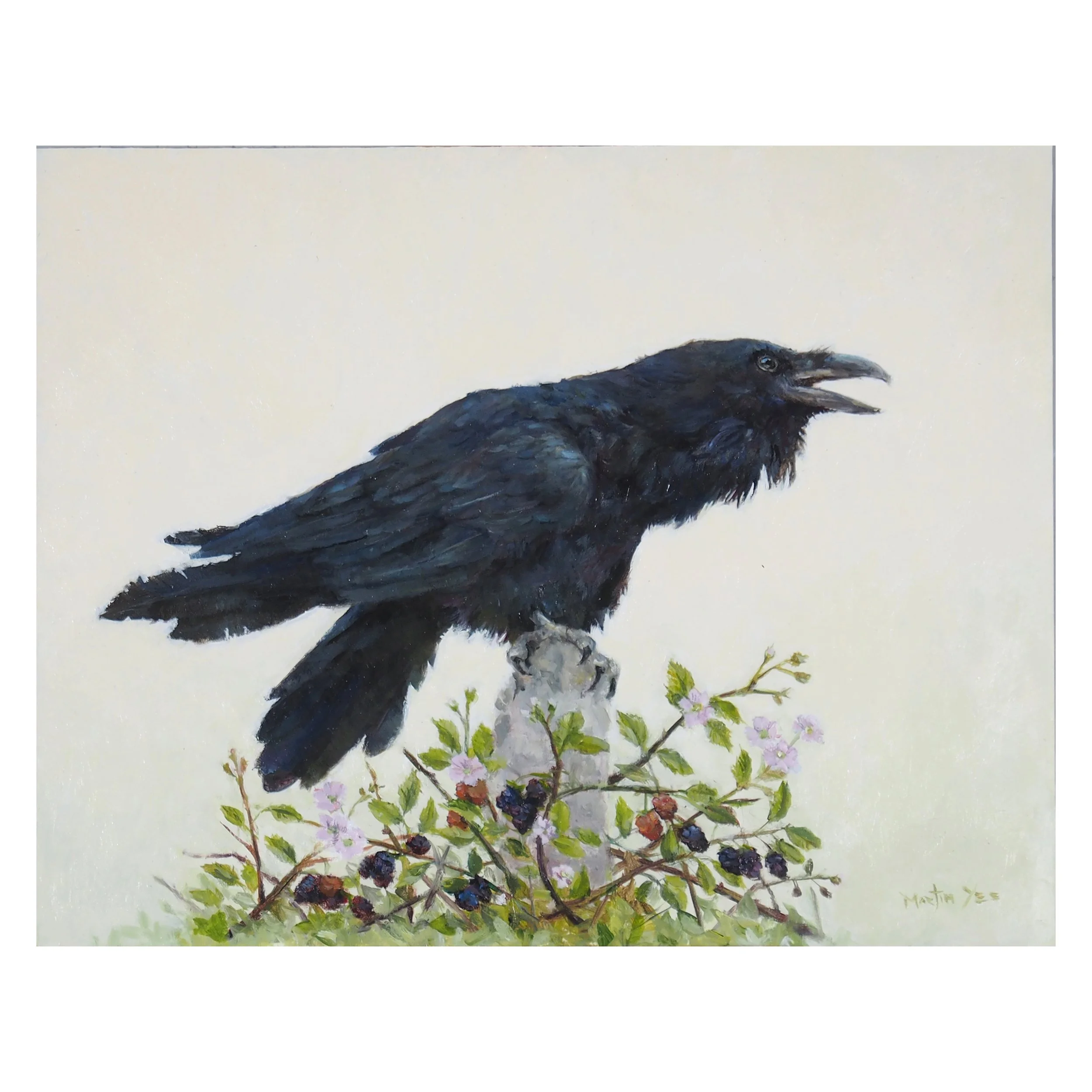 The  messenger 1.JPG