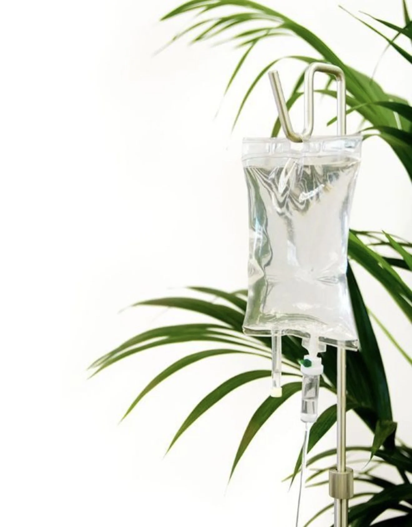 IV drip bag hanging on a stand with green plant leaves in the background