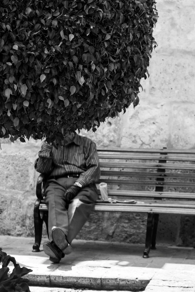 IMG_8906 (2).jpg