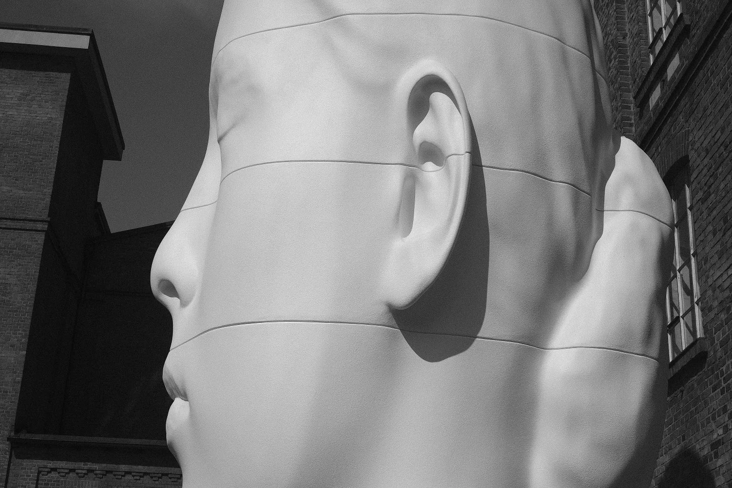 DSCF0364.jpg