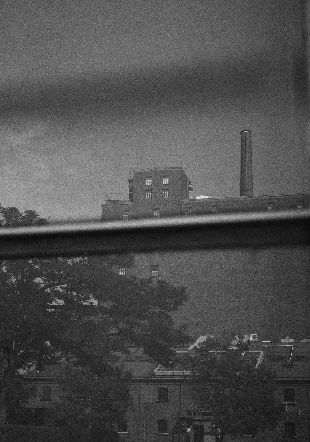 DSCF0371.jpg