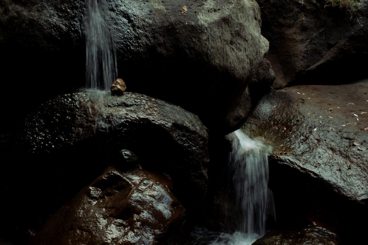 _DSC2430.jpg
