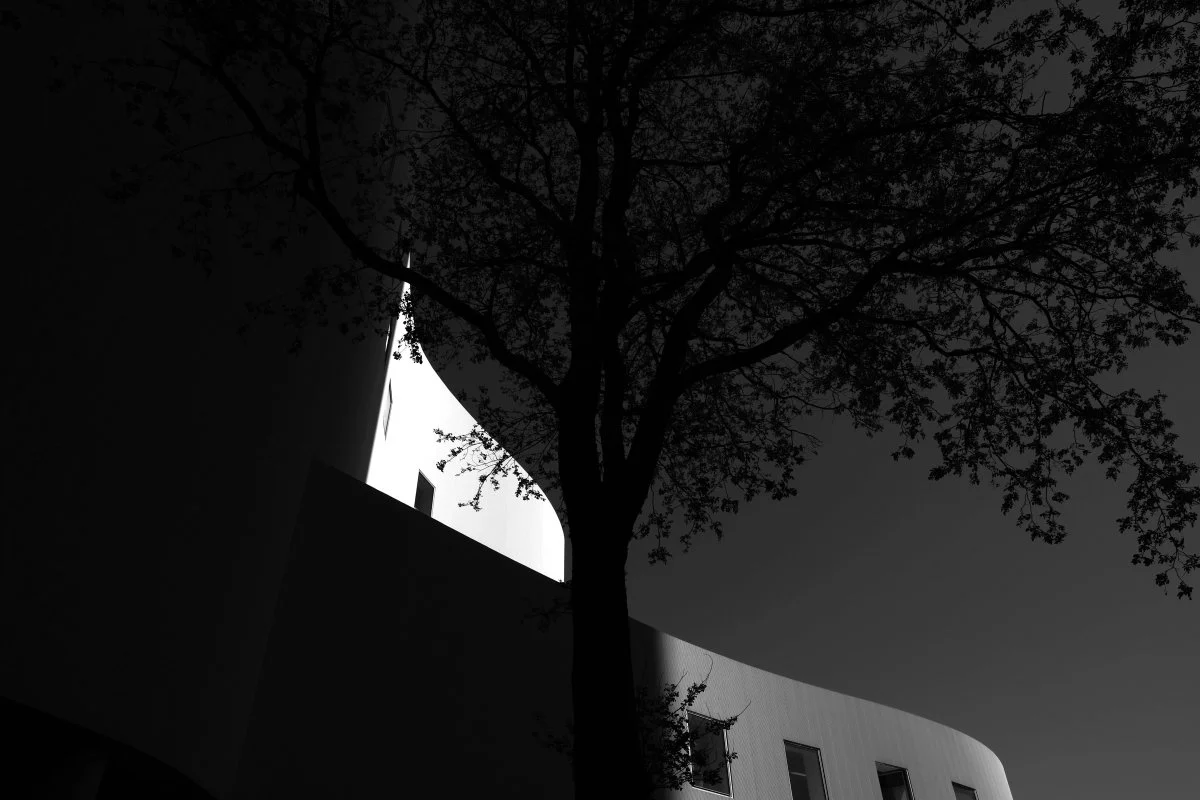DSCF3368.JPG