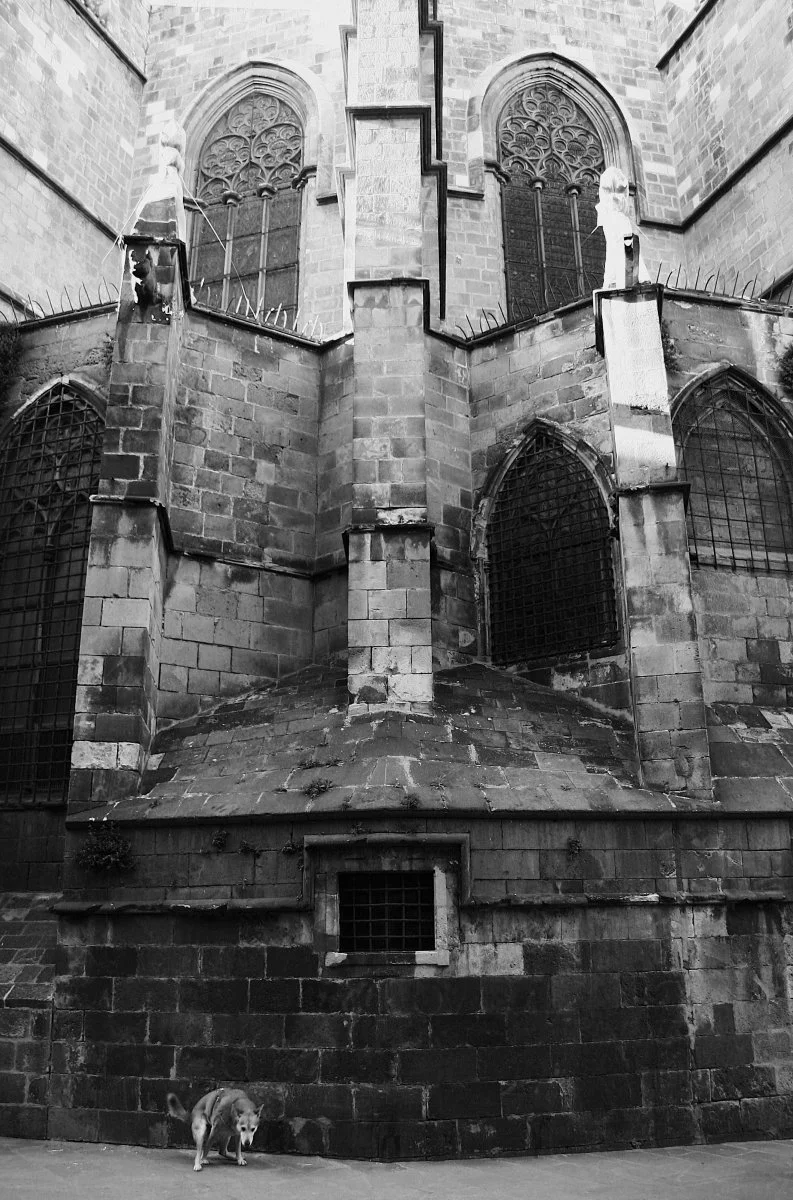 IMG_3954 (2).jpg