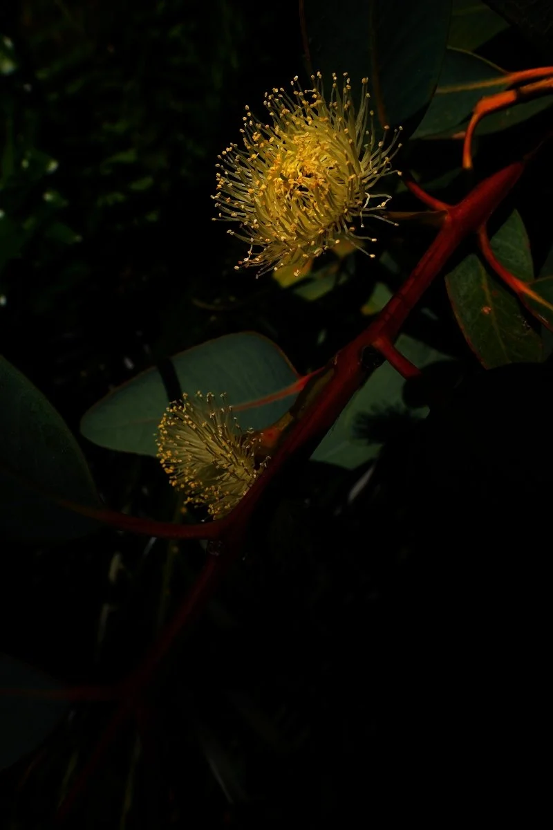DSCF3540.jpg
