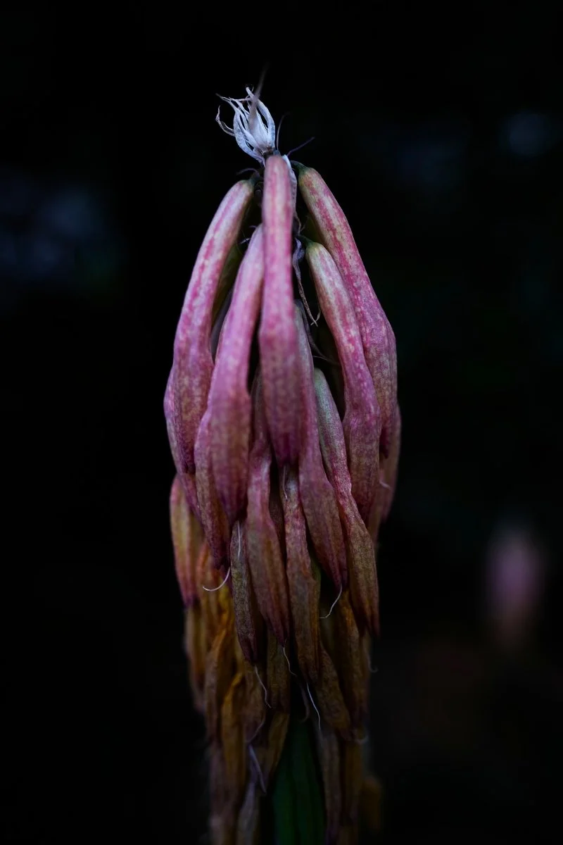 DSCF3042.jpg
