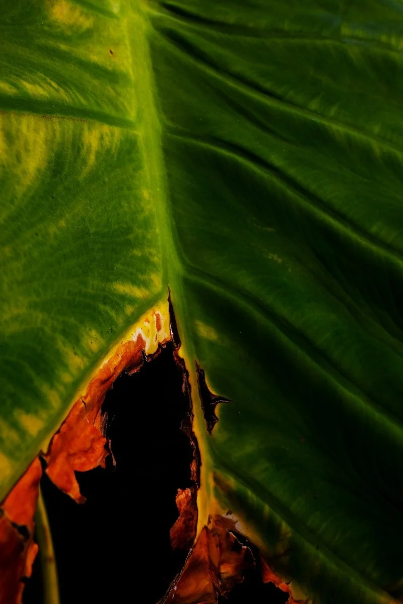DSCF3602.jpg