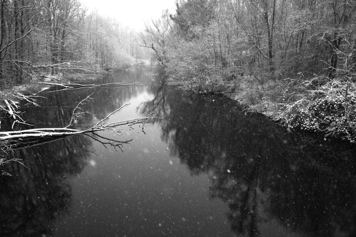 DSCF2348.jpg