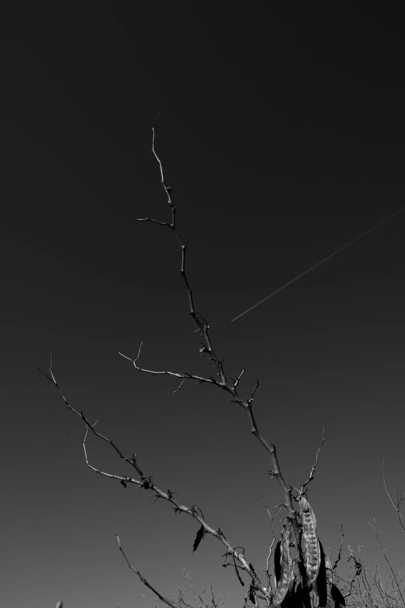 DSCF2783.jpg