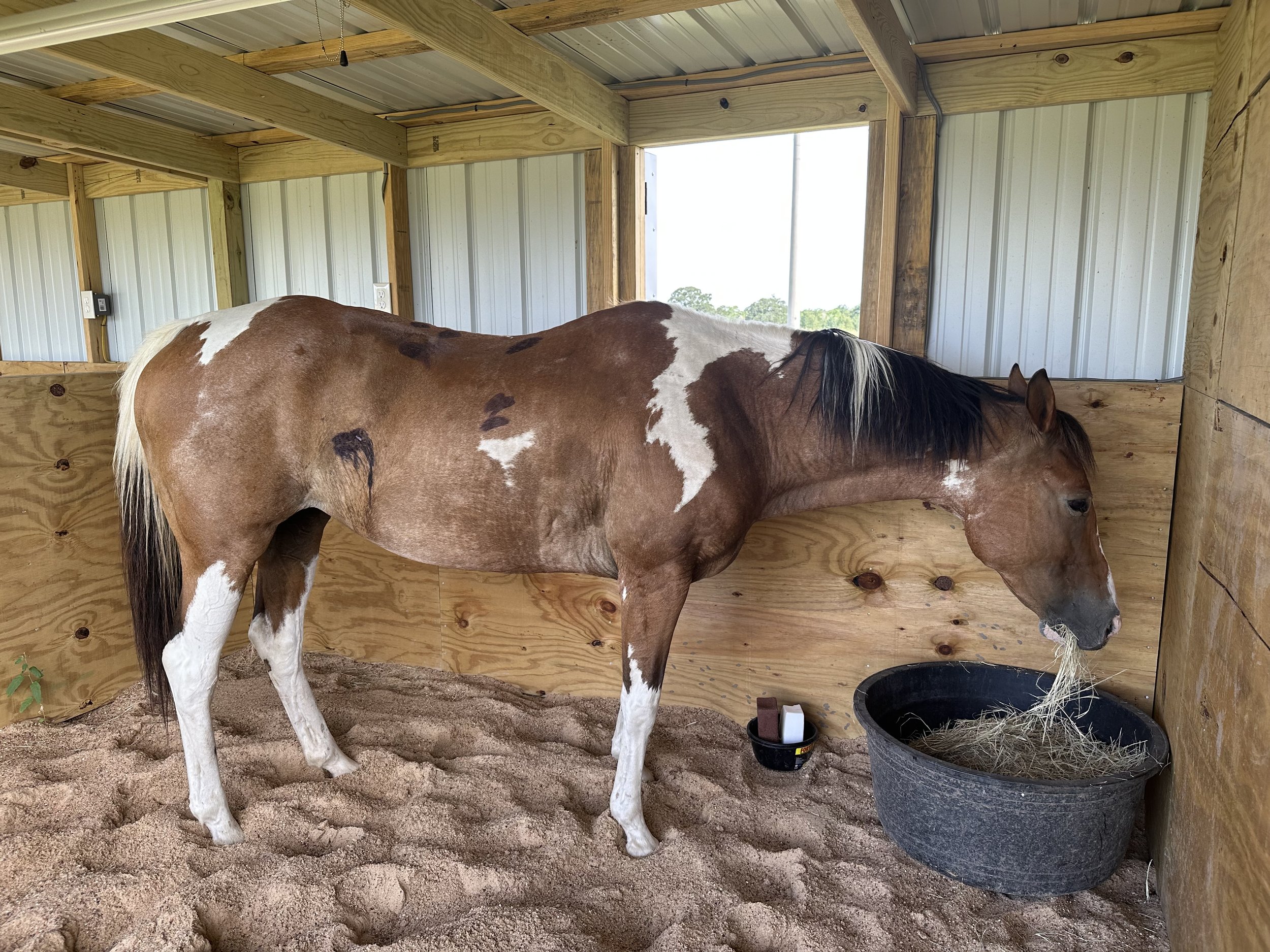 Upon arrival- late 2023