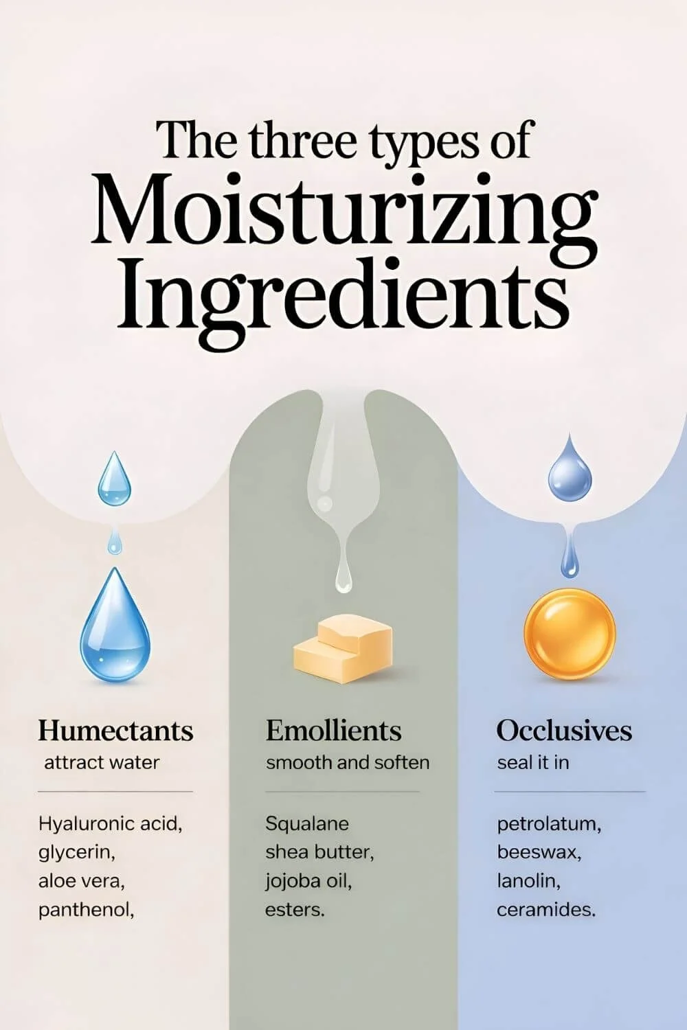 Infographic titled “The three types of Moisturizing Ingredients” showing humectants (attract water), emollients (smooth and soften), and occlusives (seal it in) with example ingredients like hyaluronic acid, squalane, and petrolatum.
