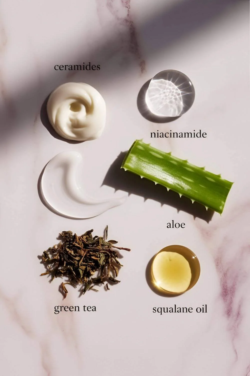 A clean composition showing labeled ingredient visuals — ceramides (cream swirl), niacinamide (clear serum), aloe leaf, green tea, and squalane oil drop. Shot on neutral marble or pastel background, educational yet artistic.