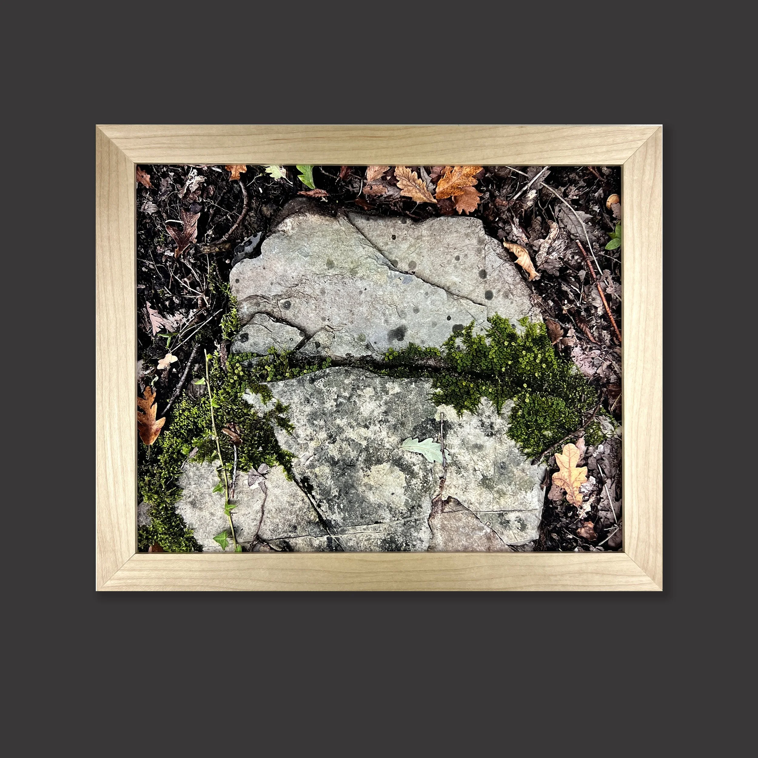 fissure