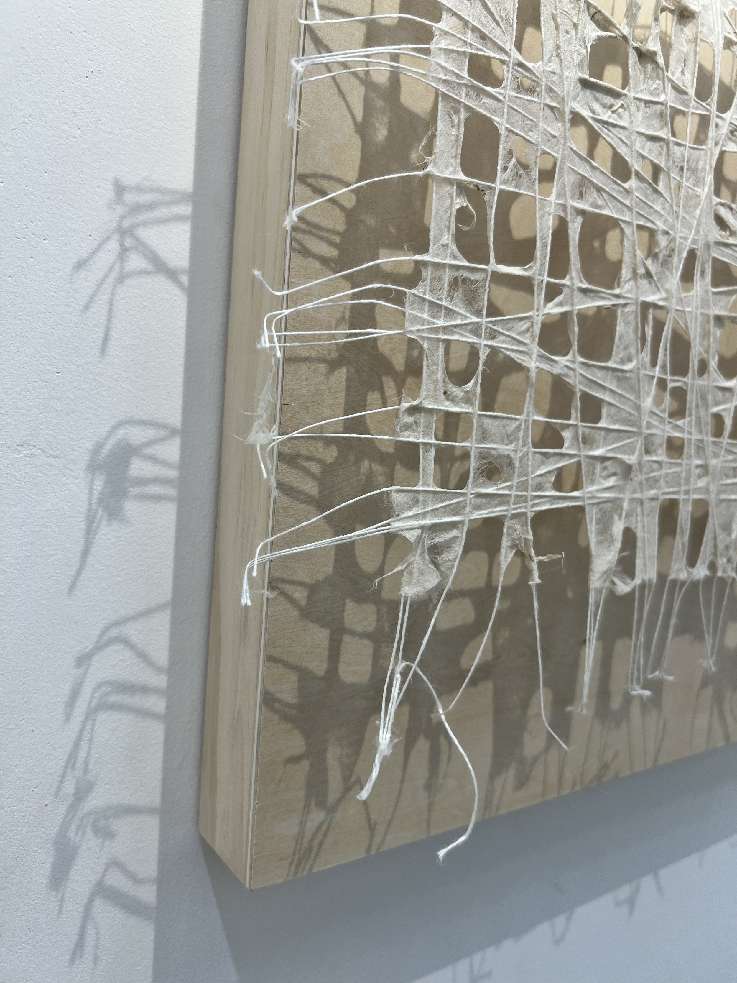 paper-thread-detail.JPG