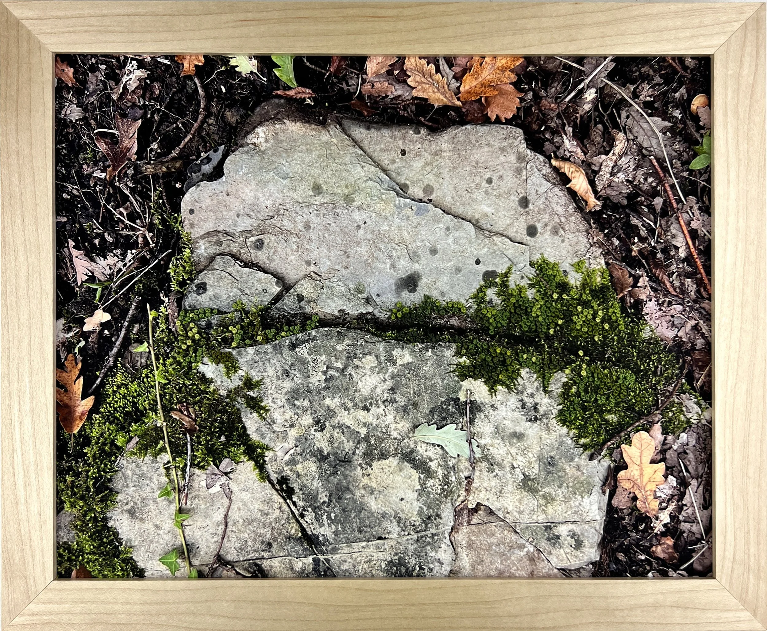 fissure-fiber-art-melissa-marie.jpg