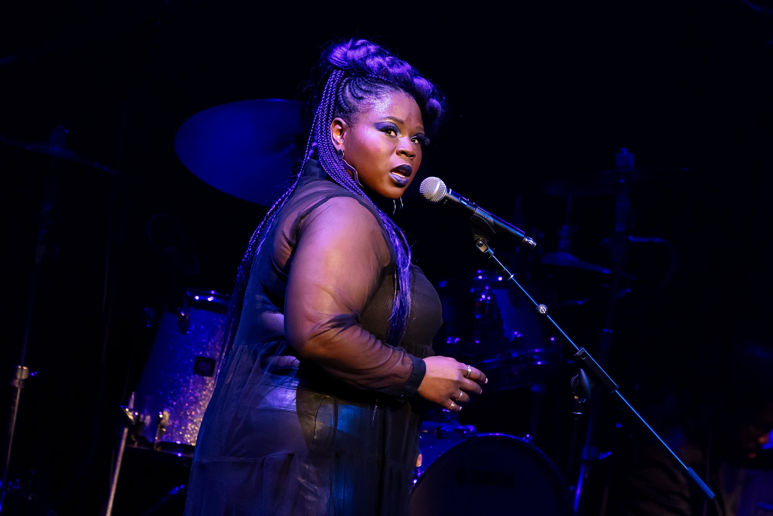 1221_PAC_Britton & the Sting-Singer-_RebeccaJMichelson-62.jpg