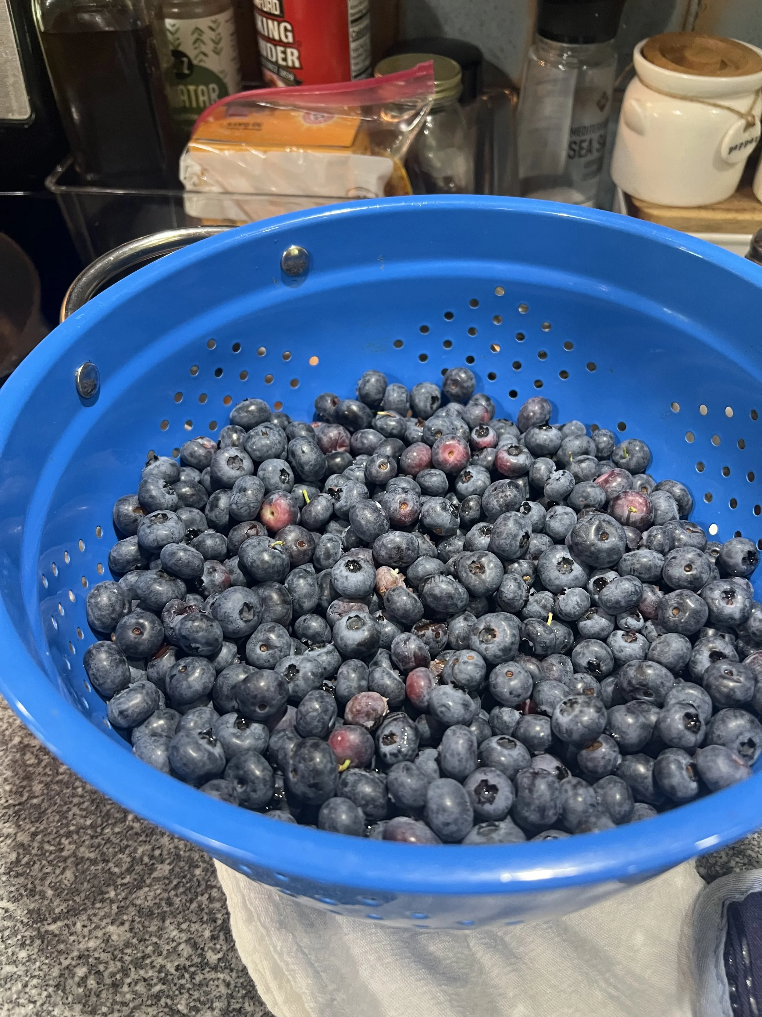 IMG_5253.jpeg