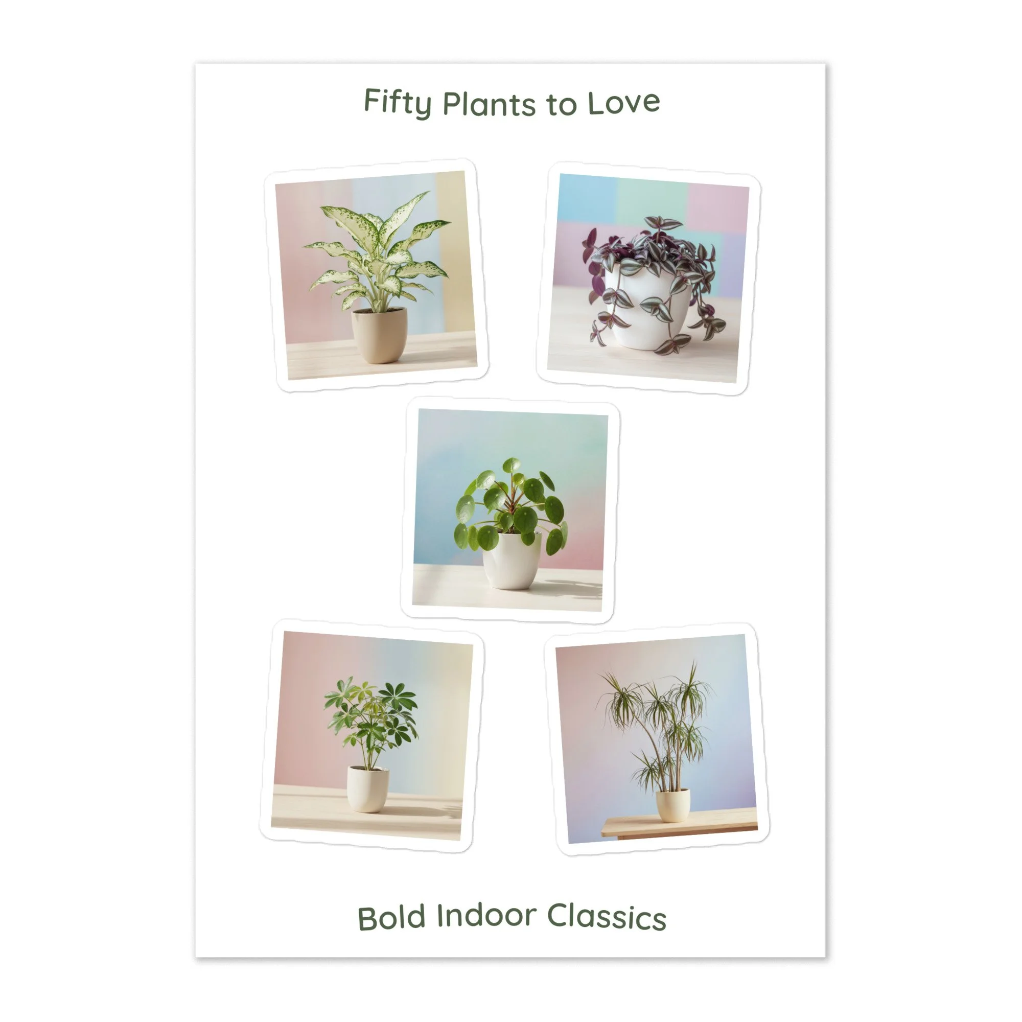 mockup featuring illustrated indoor plants — Dragon Tree, Umbrella Plant, Money Plant, Dumb Cane, and Wandering Dude