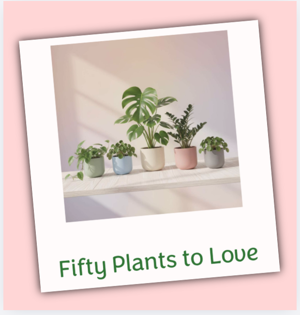 Cover of Fifty Plants to Love, a houseplant journal featuring five potted plants including Monstera and Pilea