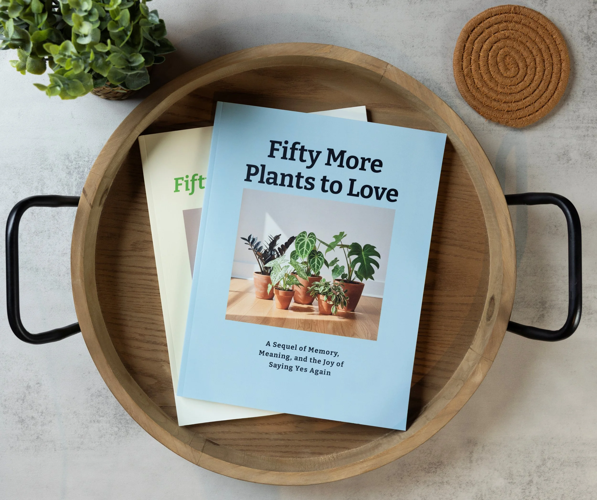 St. Louis-Wentzville-Product-Photographer-Sundberg-Photography0031-2.jpg