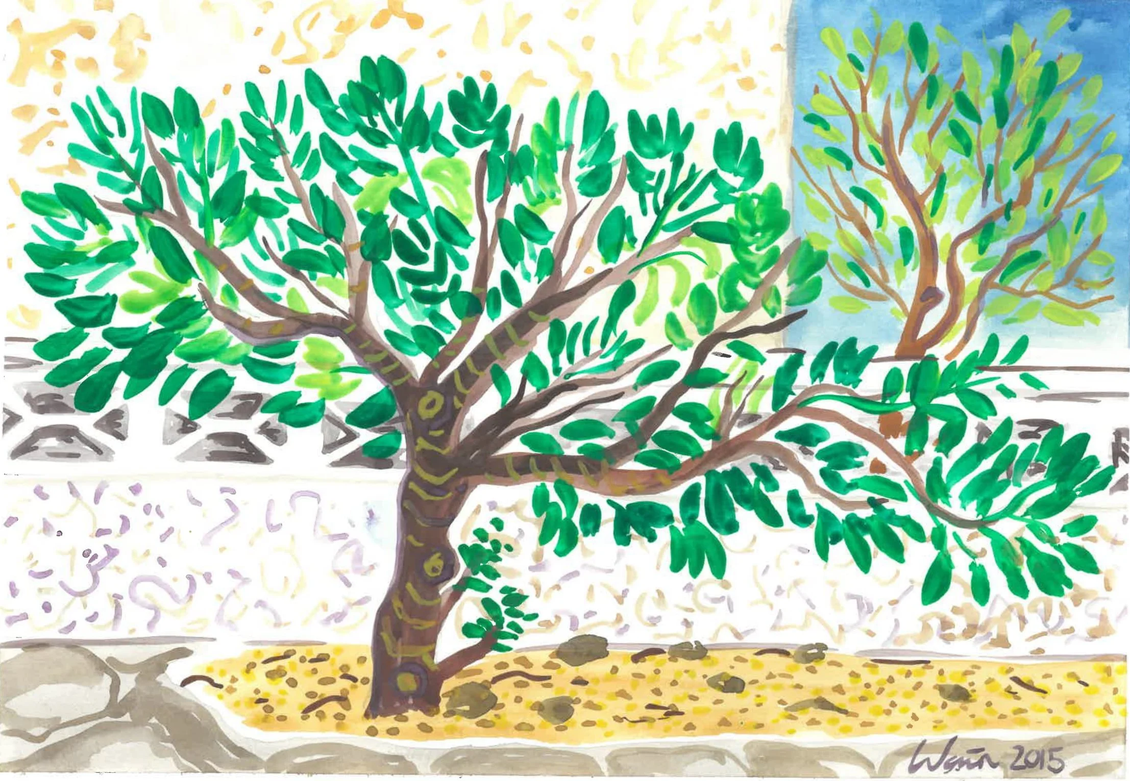 tree at badia 22.jpg