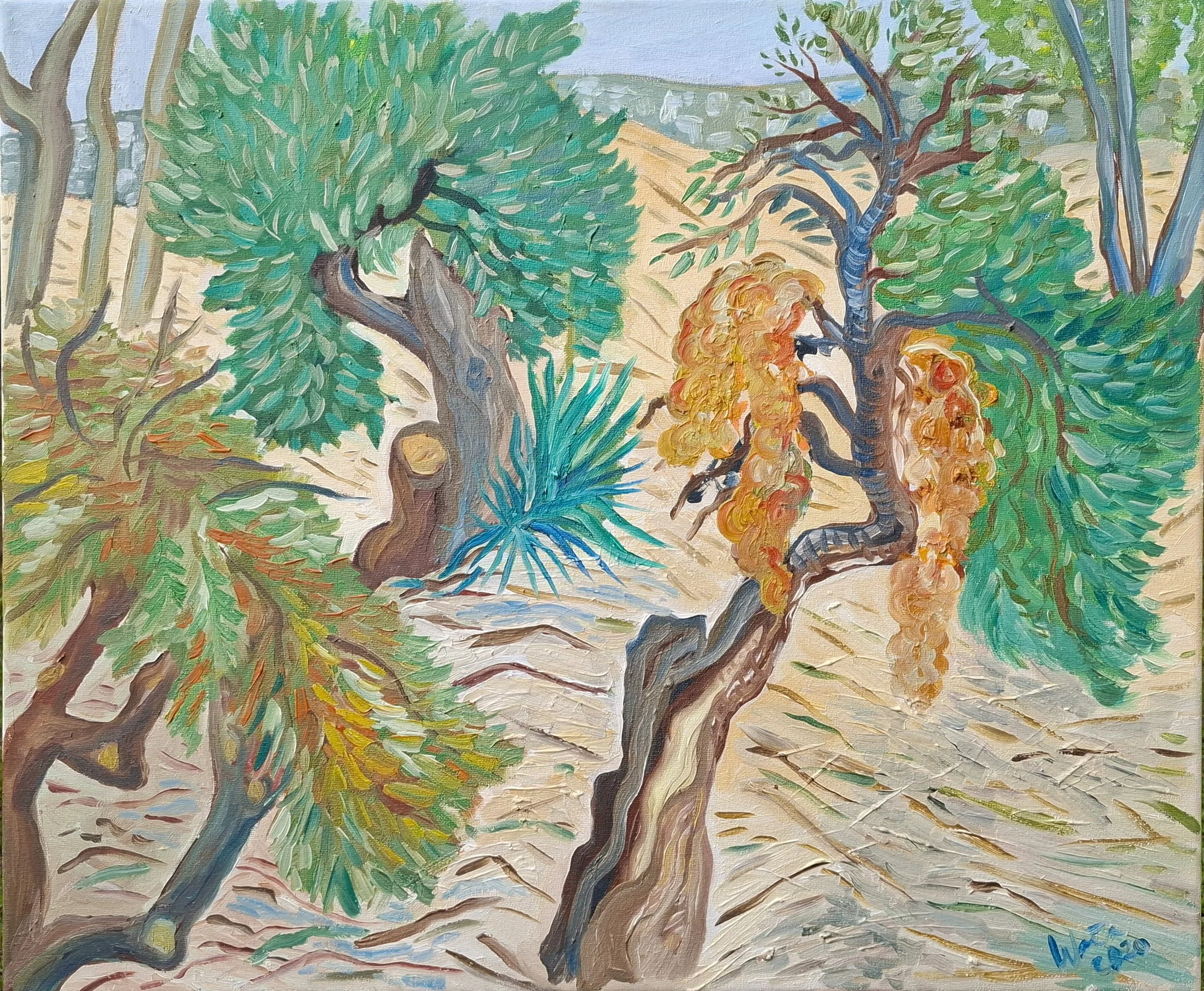 Olive trees in Coin
Oil on canvas
60x60cm