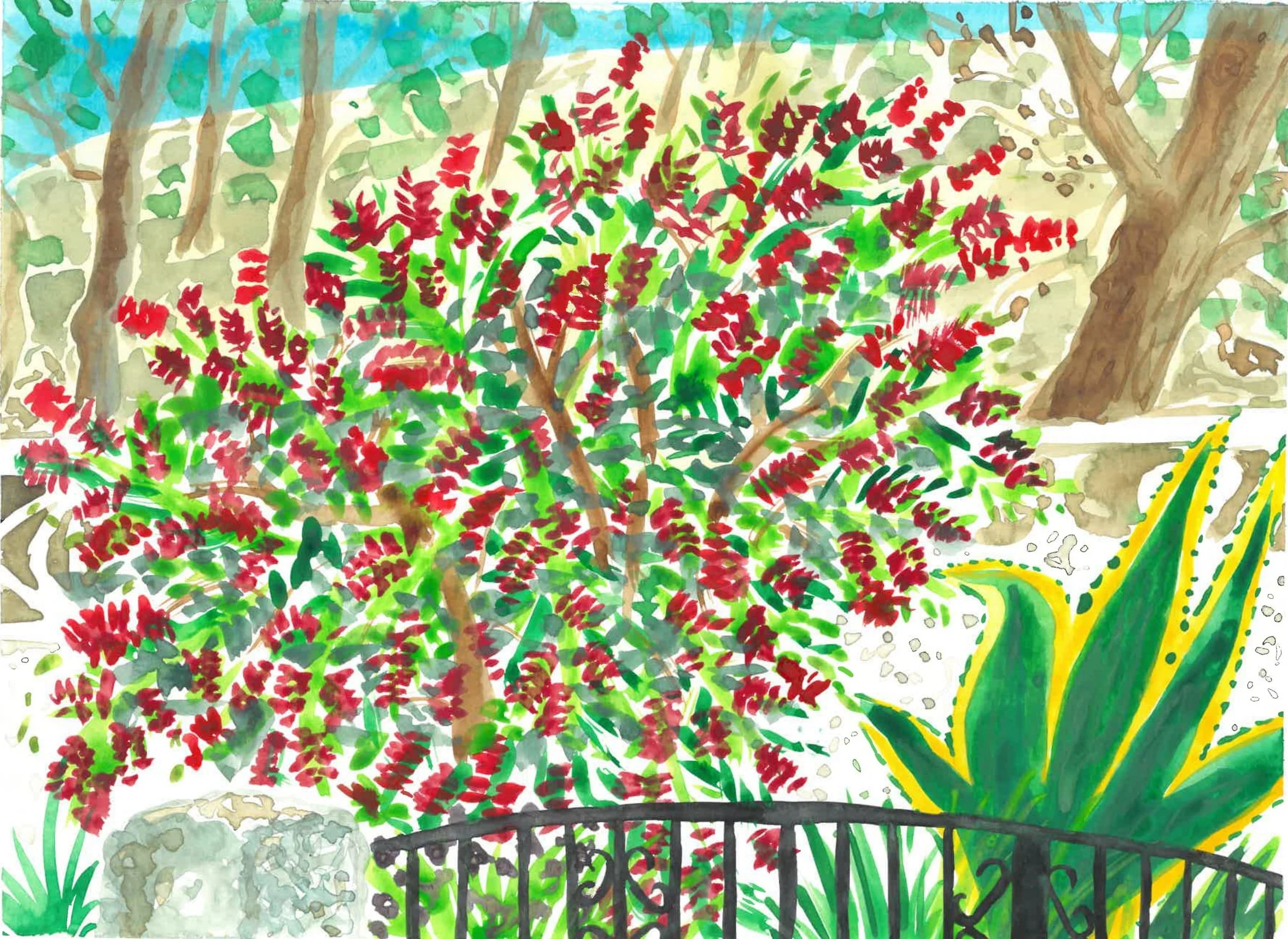 bottle brush.jpg