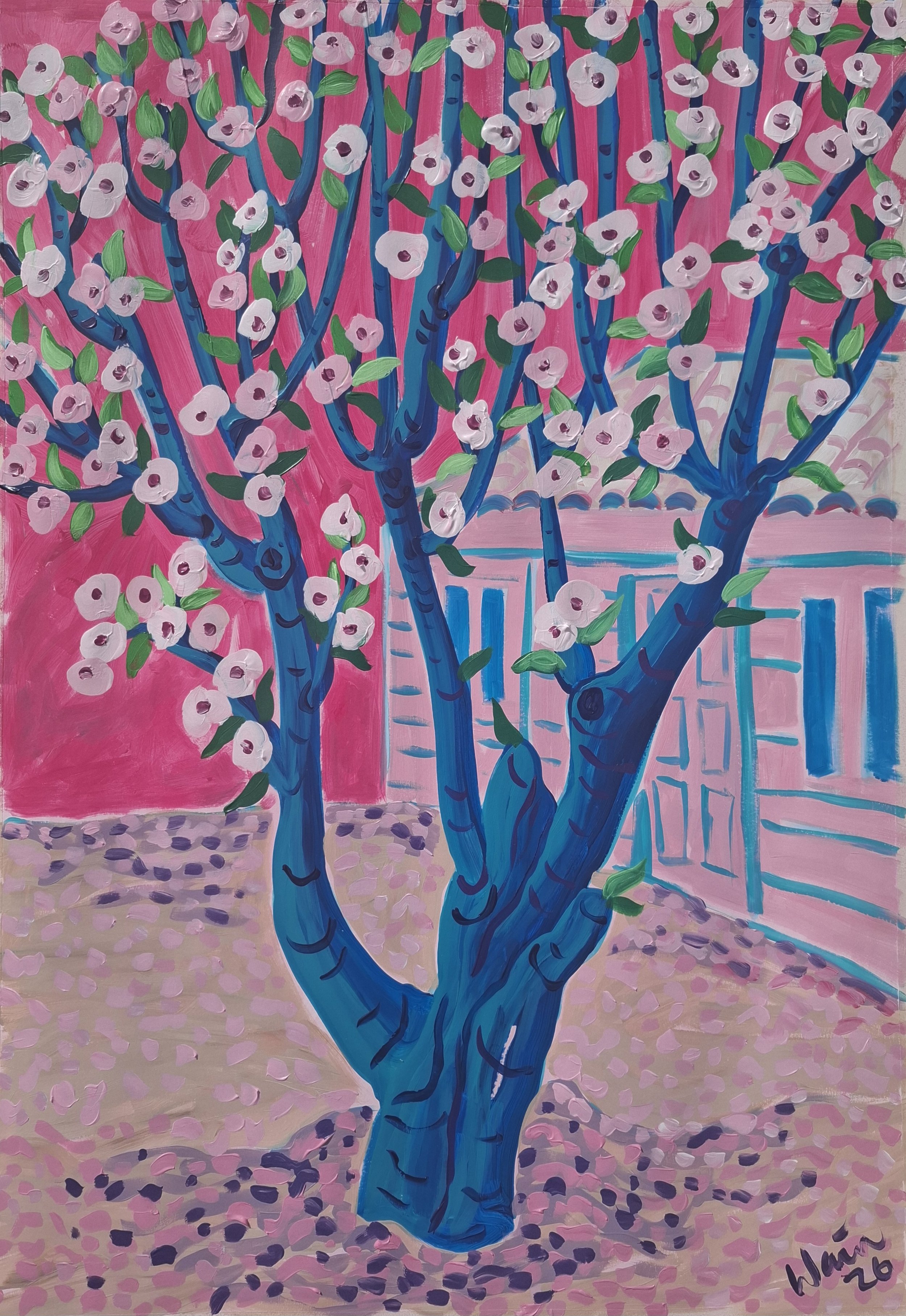 almond blossom 6.jpg