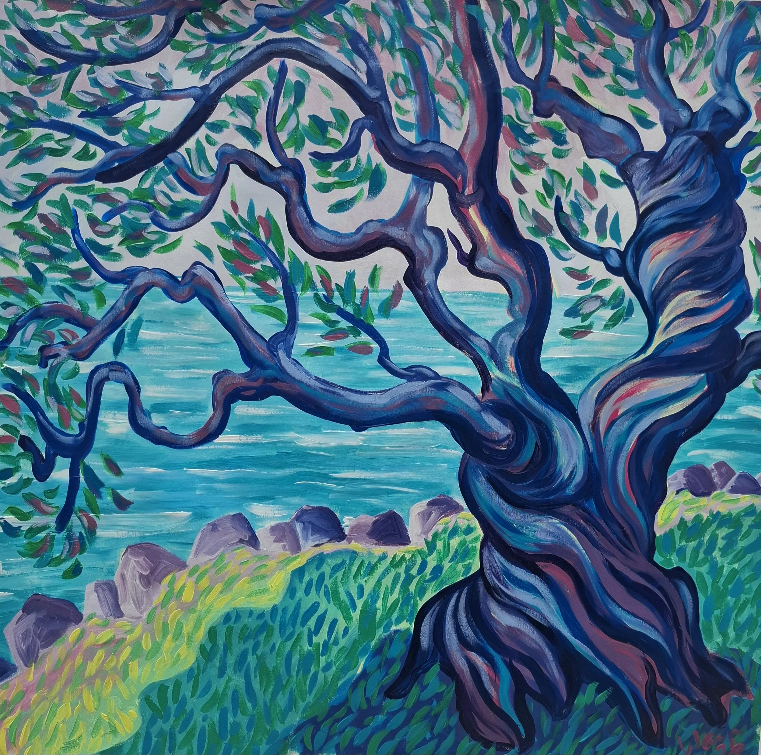 'The Ancient Sentinel, Mediterranean Olive' Acrylic on canvas, 96.5x94.5cm