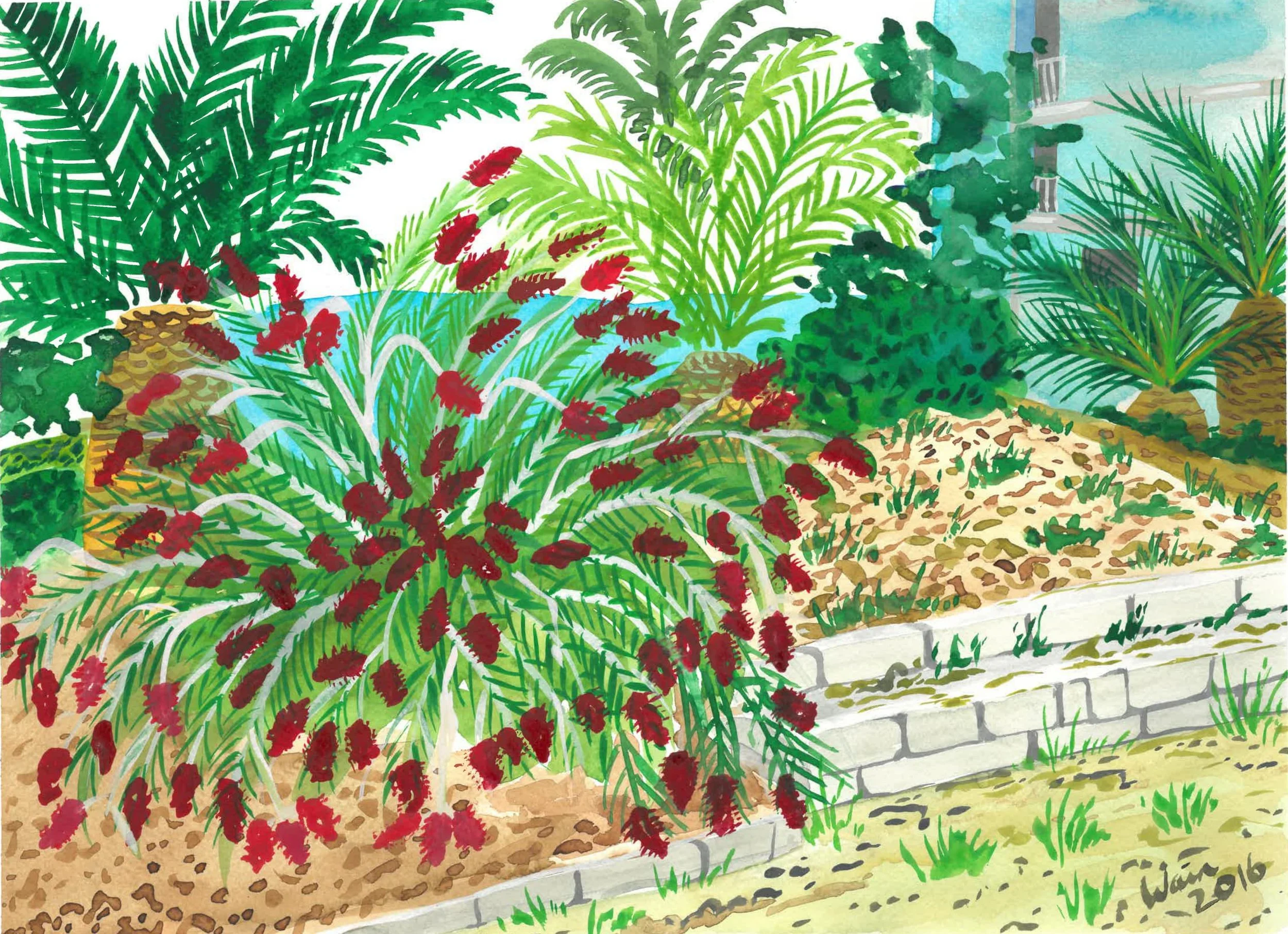 bottlebrush and palms.jpg