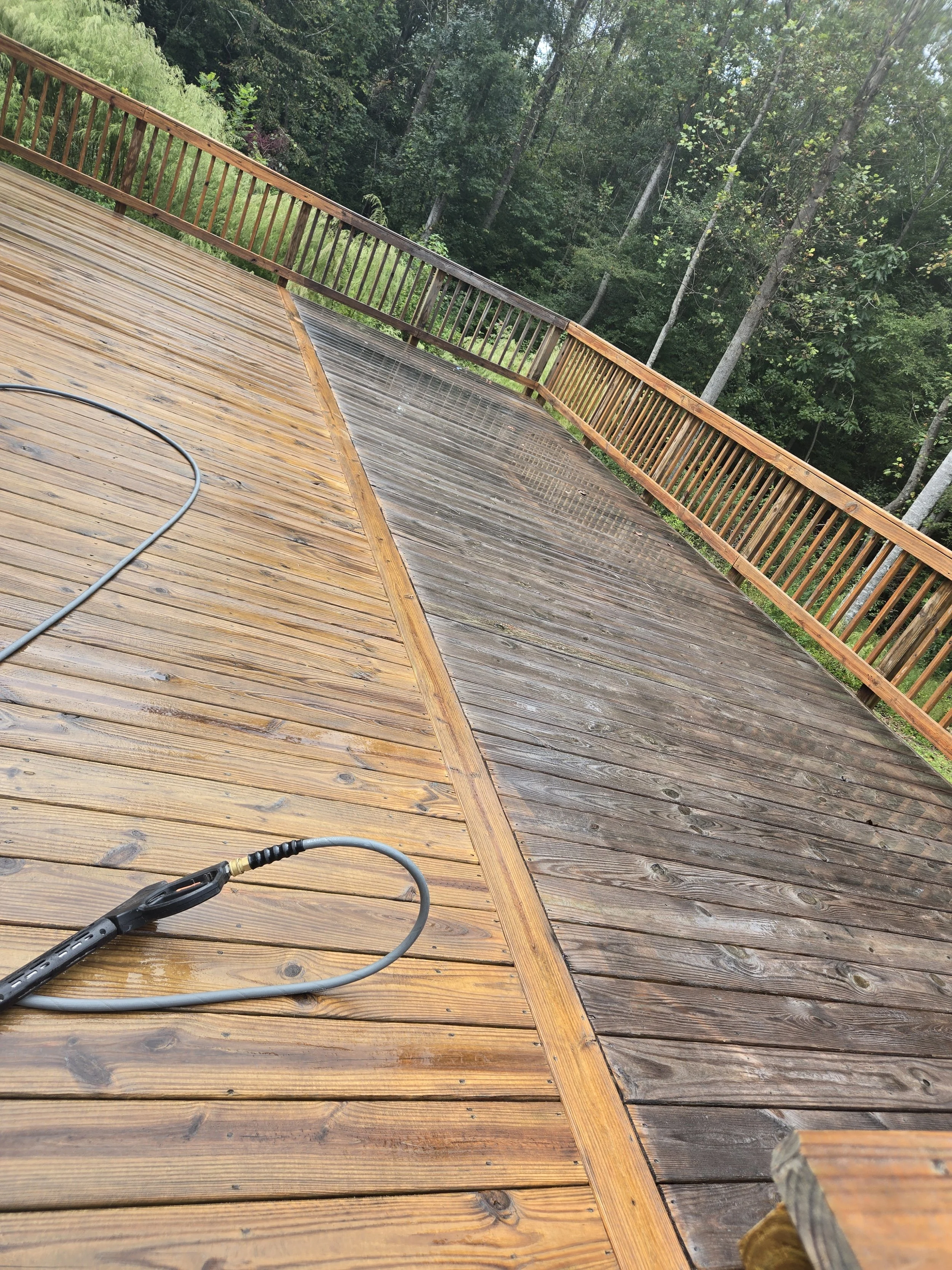 A wooden deck with visible parts of a power cord, on a background of trees and green foliage.