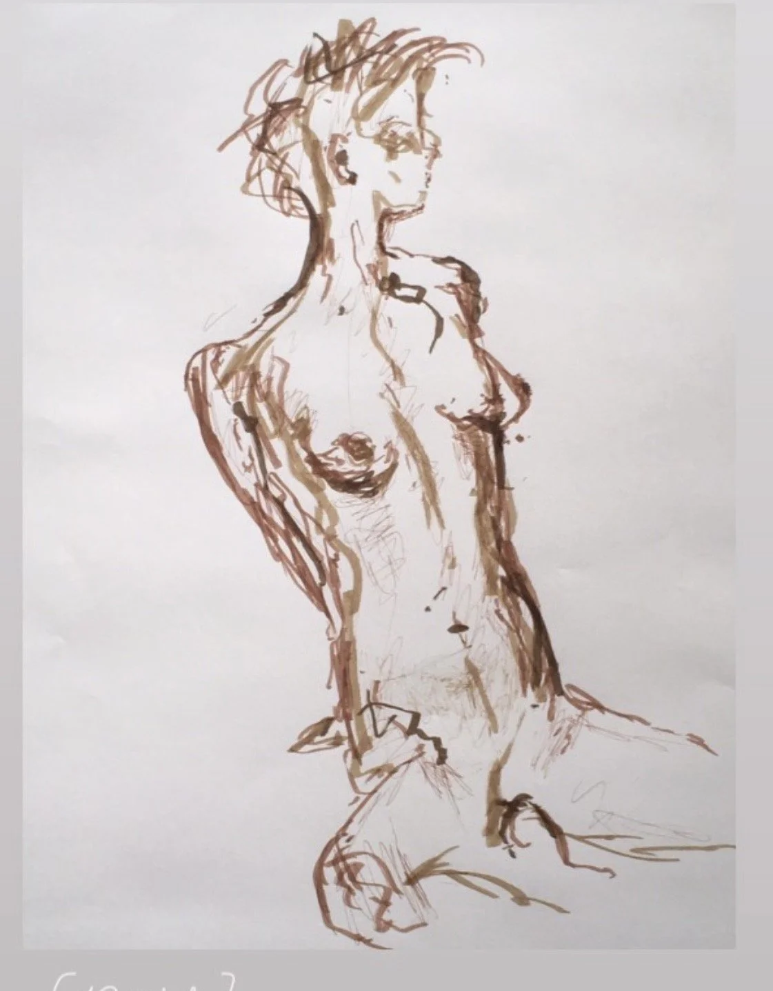 The human body