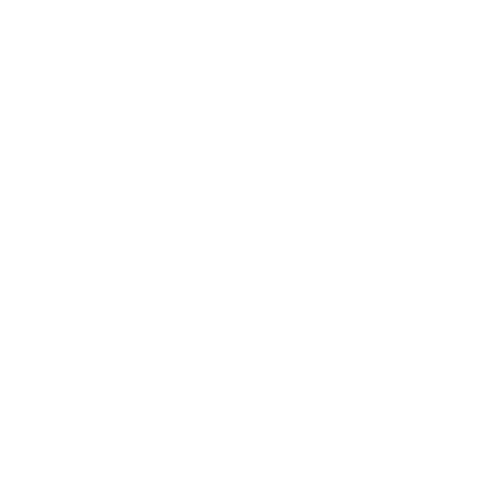Icon of a filing cabinet with four drawers on the left and two horizontal handles on a larger drawer on the right, all in white on a black background.